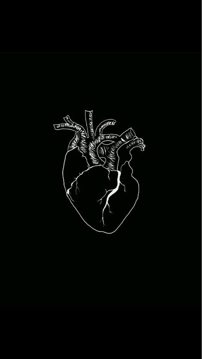 A black and white image of a heart with a caption and list of tags - Medical