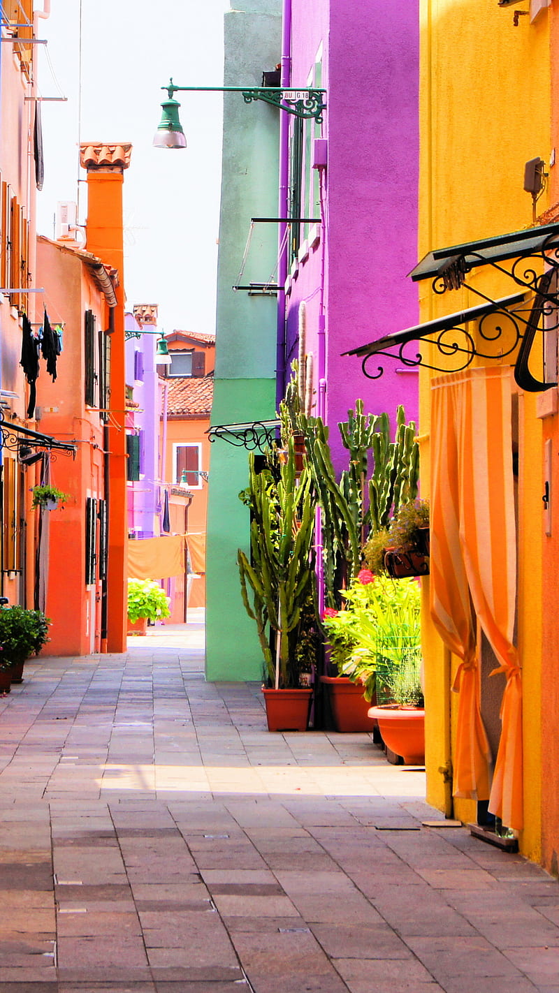 A street with colorful buildings and potted plants - Italy