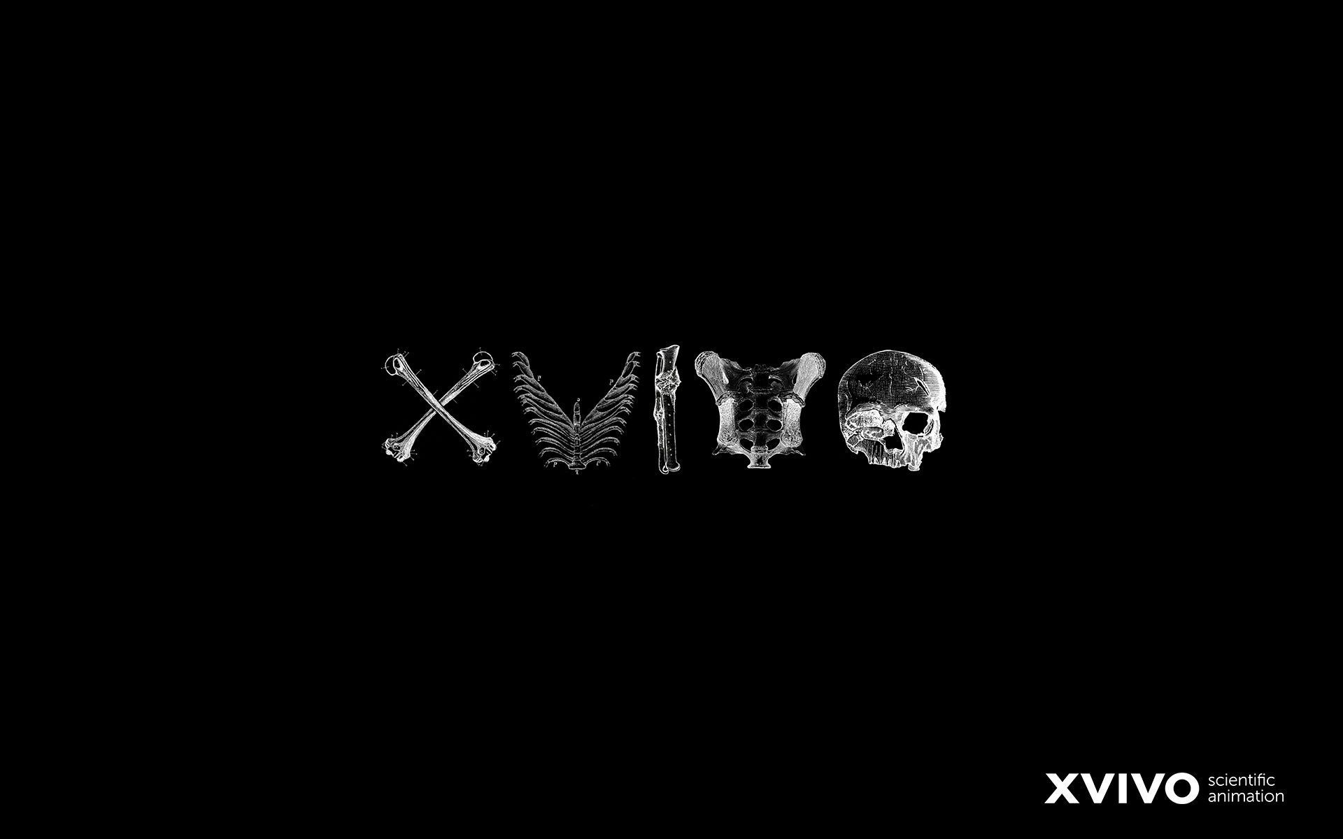 XVIVO logo, with a black background and the letters made up of different body parts - 