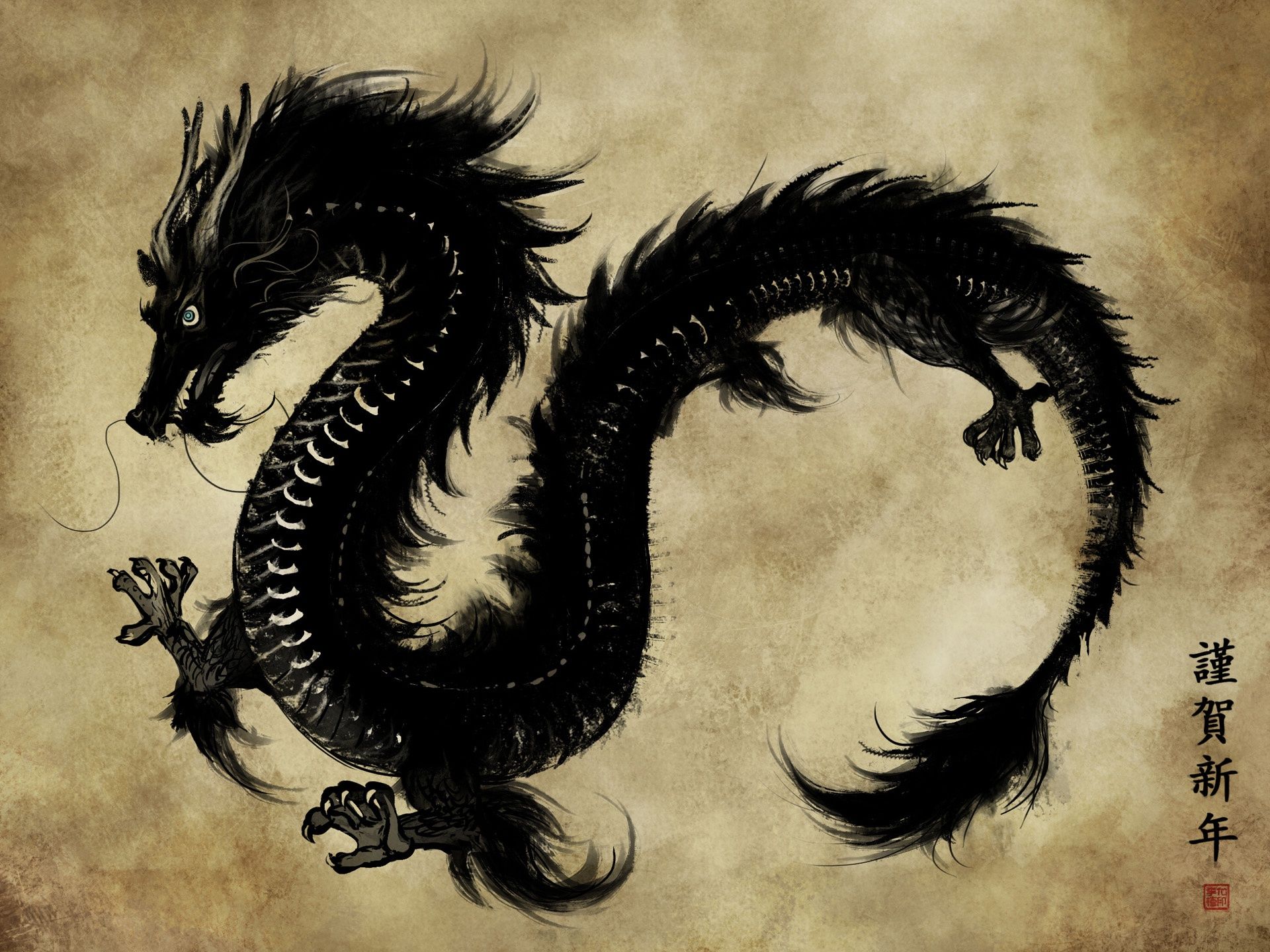 A black dragon on a parchment background - Dragon