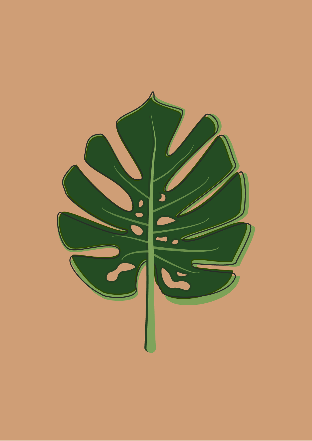 Monstera Leaf