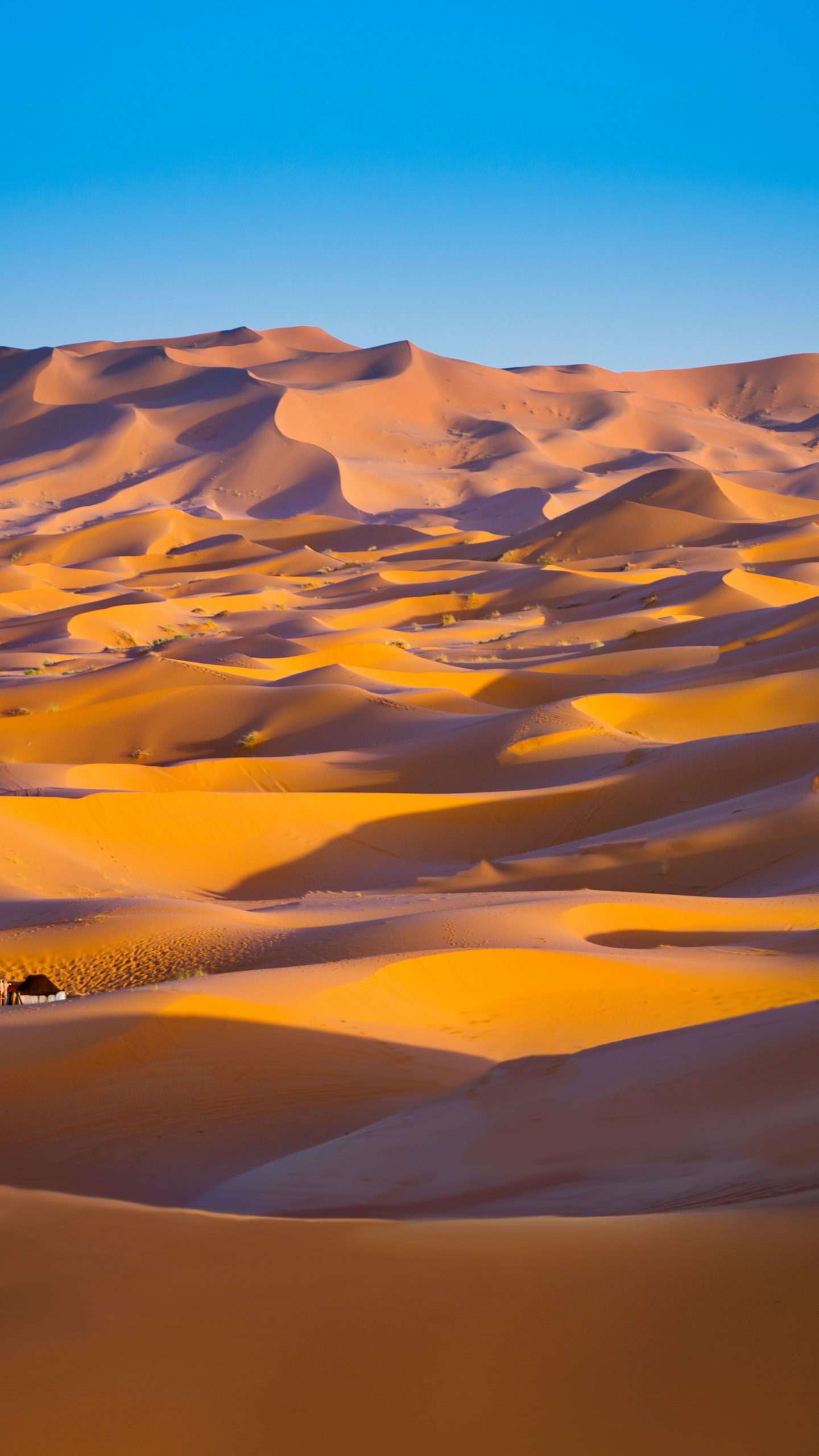 A car is driving through the desert - Desert