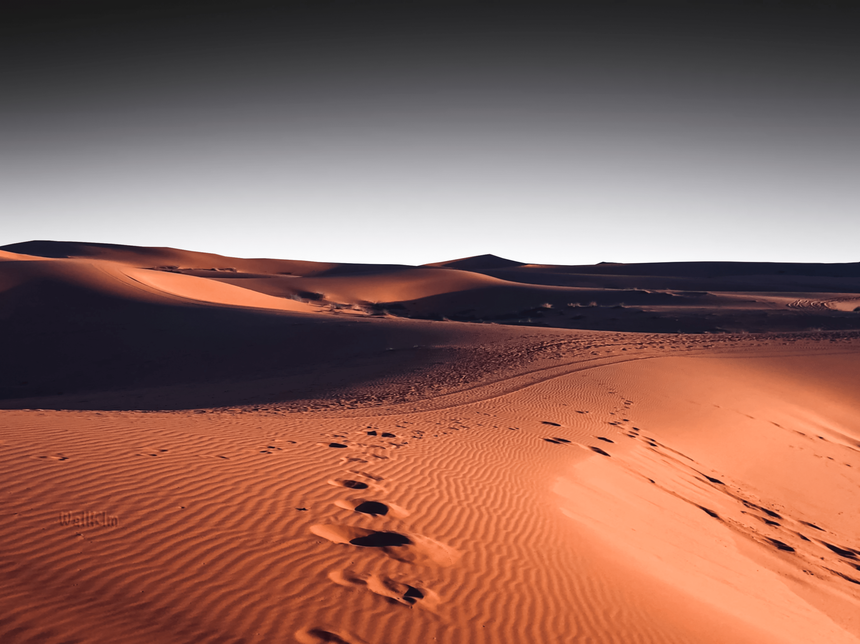 Desert Minimal