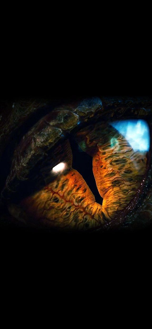 Eye Dragon Film Hobbit The Battle Five Armies Art Dark iPhone X Wallpaper Free Download