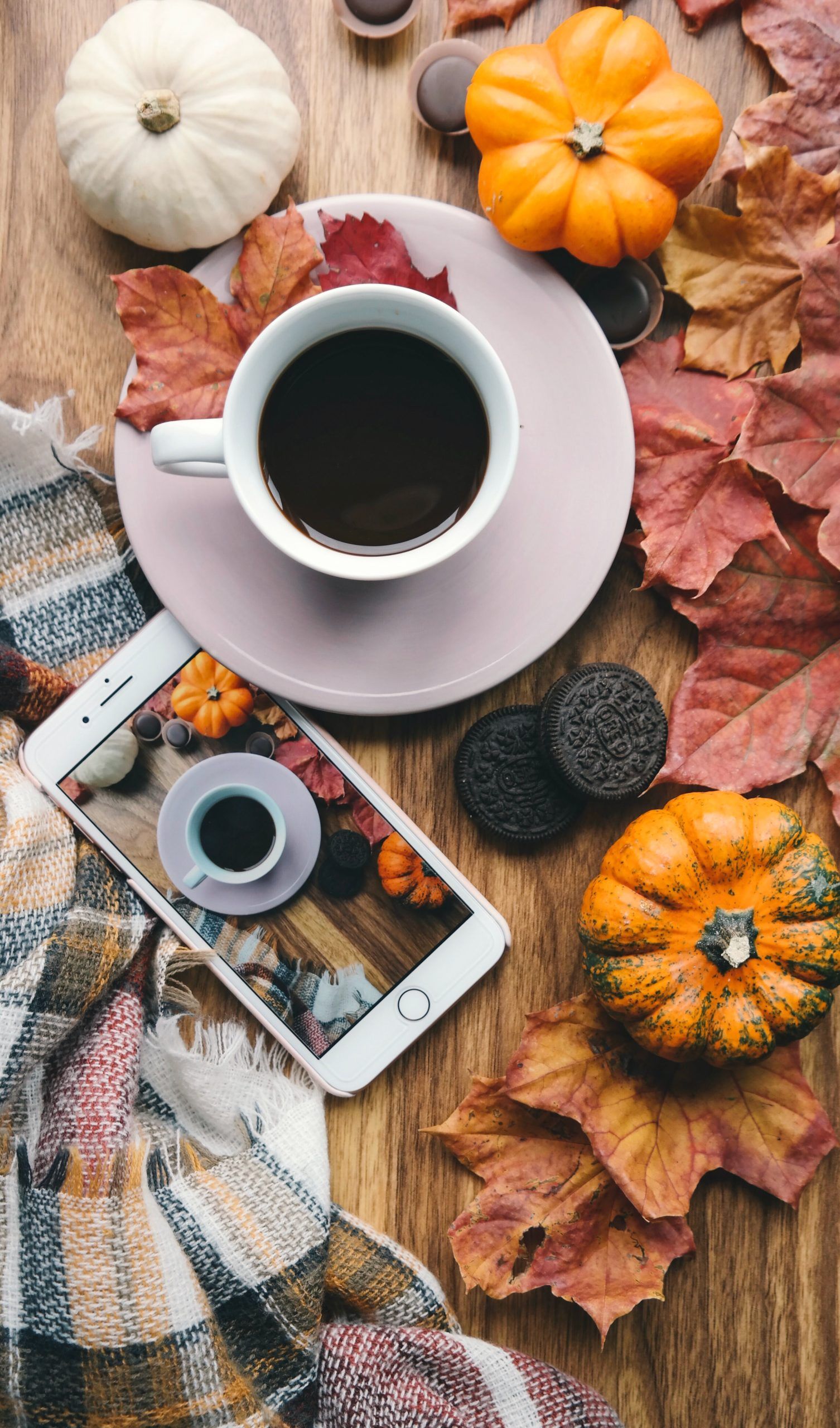 A cup of coffee, a smartphone, and some autumn leaves - Fall, November, October, pumpkin, fall iPhone