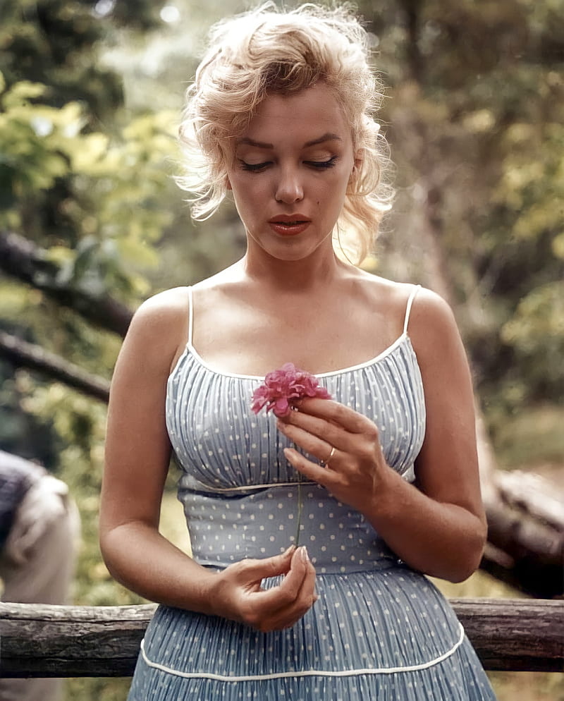 Marilyn Monroe, bonito, blonde, merlin, HD phone wallpaper