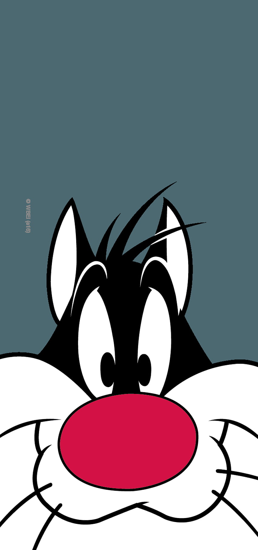 Sylvester iPhone Wallpaper with high-resolution 1080x1920 pixel. You can use this wallpaper for your iPhone 5, 6, 7, 8, X, XS, XR backgrounds, Mobile Screensaver, or iPad Lock Screen - Looney Tunes