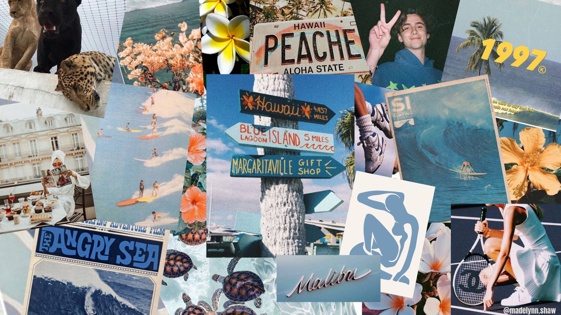 Download Hawaiian Beach Vibe Collage Wallpaper
