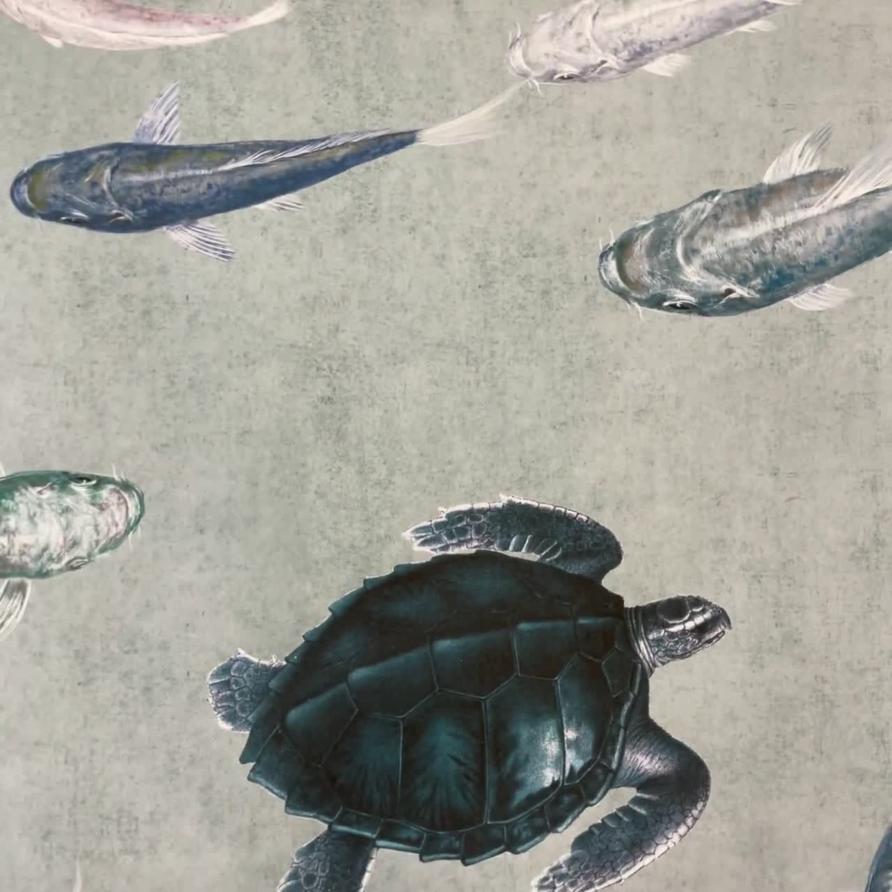 Japanese Koi Fish Wallpaper With Turtle Sea World Marine Wall