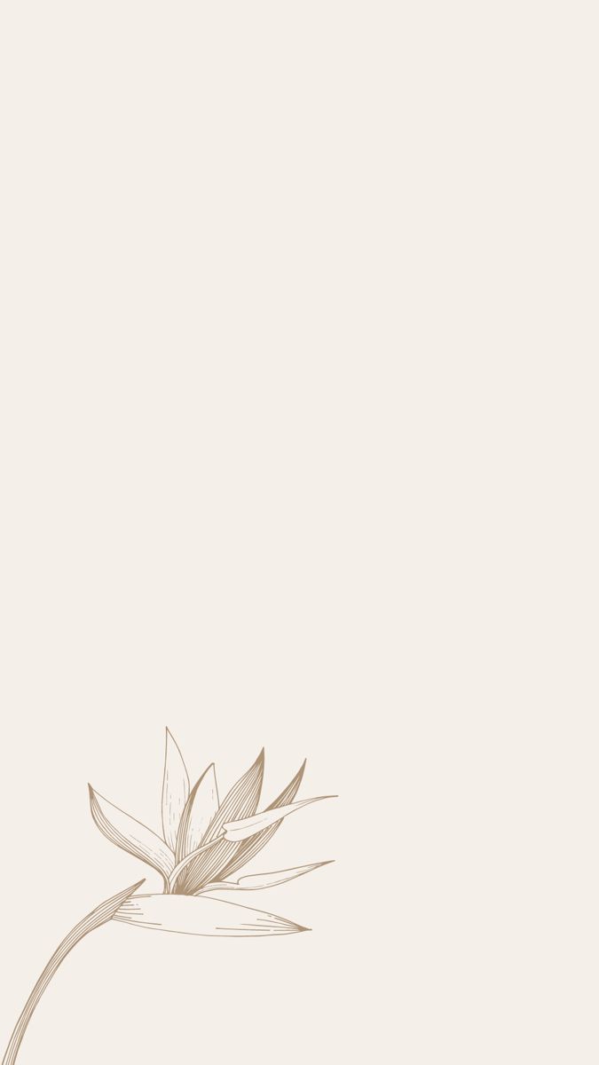 ✨Aesthetic minimalist flower neutral wallpaper✨. Cocktail book design, Pastel background wallpaper, Baby logo design