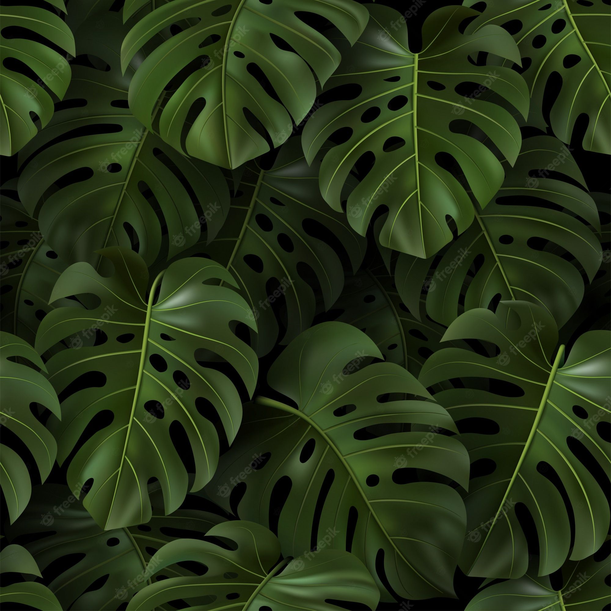 Premium Vector. Botanical illustration with tropical green leaves monstera on dark background. realistic seamless pattern for textile, hawaiian style, wallpaper, sites, card, fabric, web