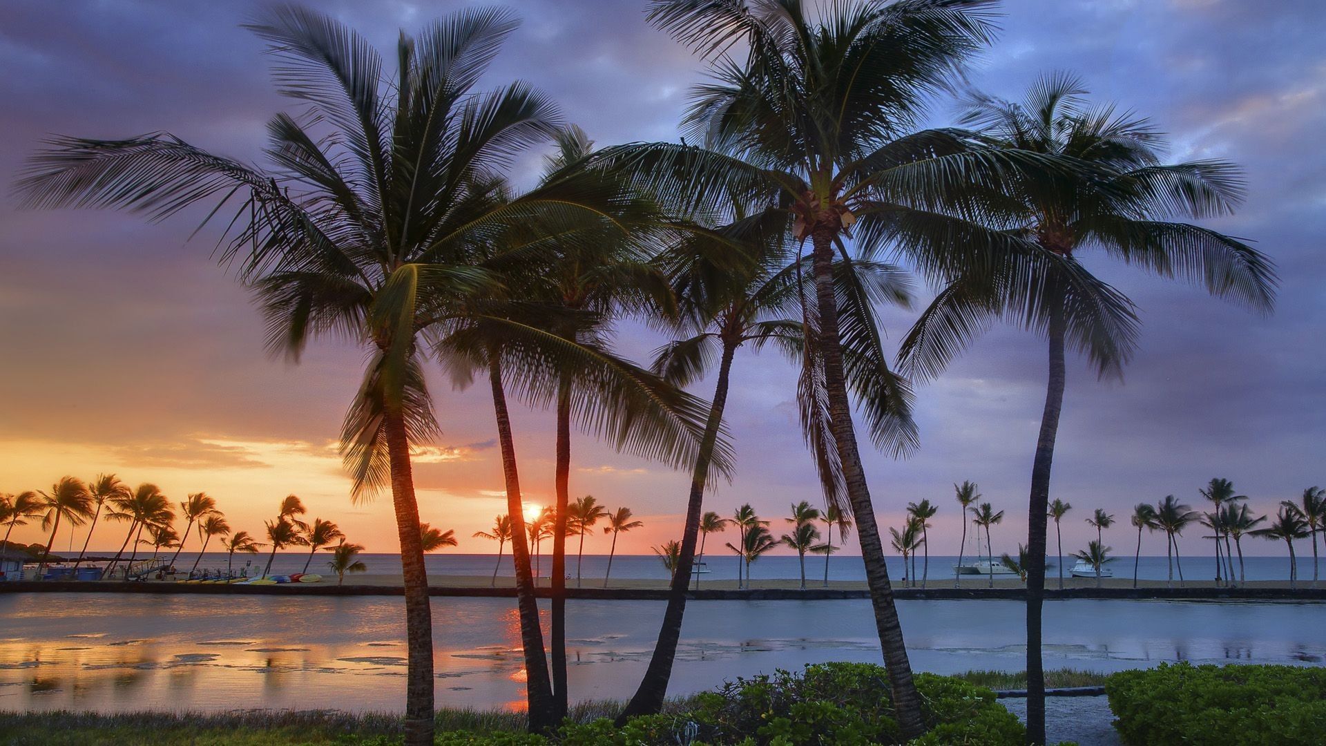 A beautiful sunset over the ocean with palm trees in the foreground. - Hawaii