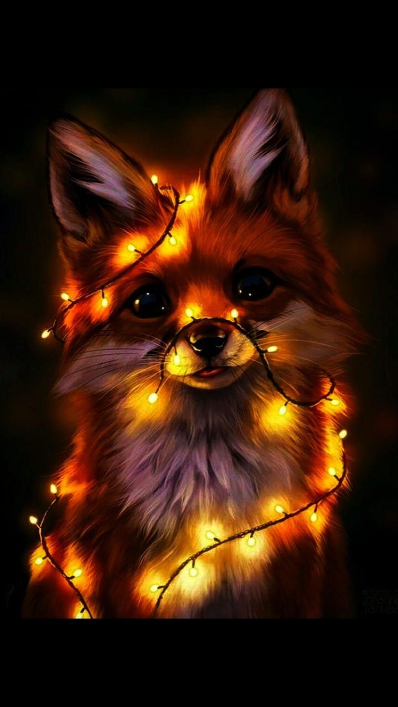 Fox light, cute, night, HD phone wallpaper