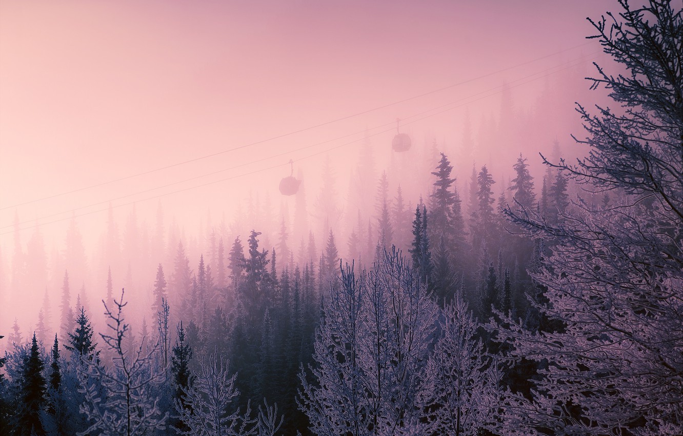 Wallpaper winter, nature, fog image for desktop, section природа