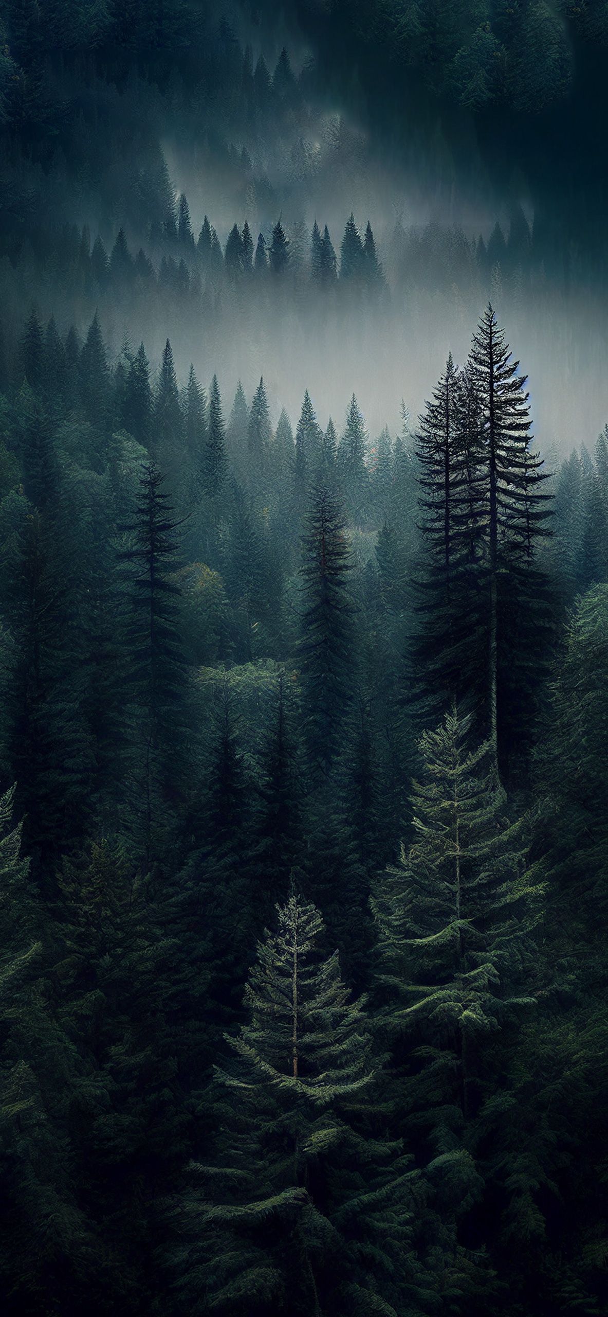 A forest with trees and fog in the background - Fog, forest, foggy forest