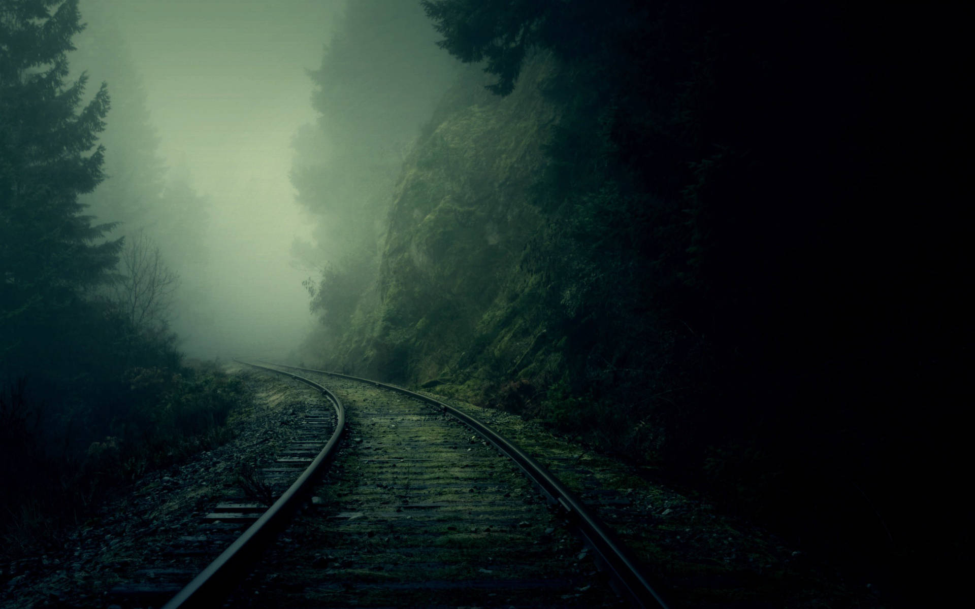 A train track that is in the woods - Fog