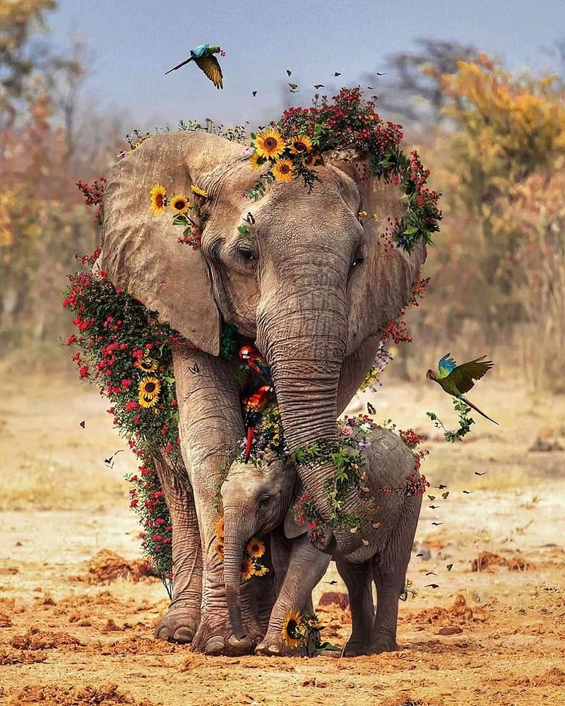 A mother and baby elephant with flowers and birds. - Elephant