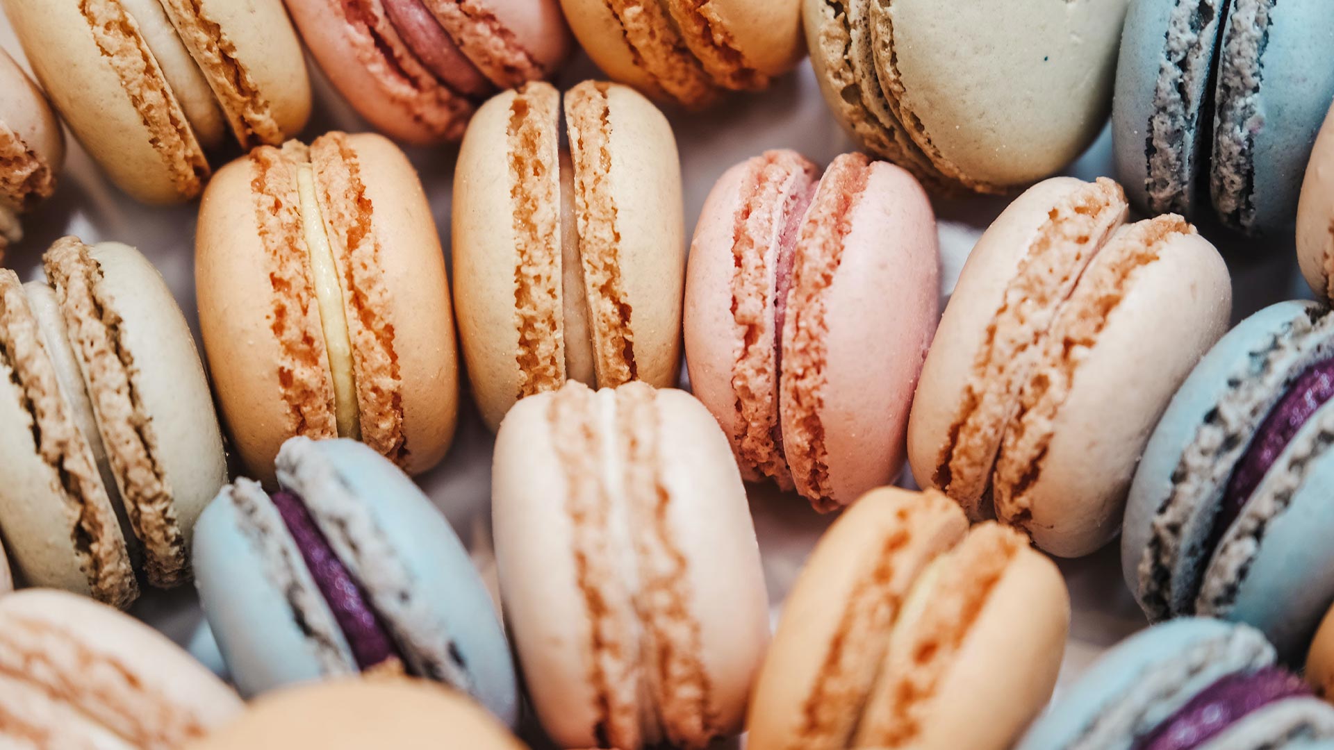 A close up of a box of macarons in different colors - Bakery