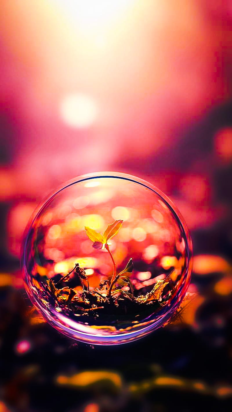 A glass ball with some leaves inside - Bubbles