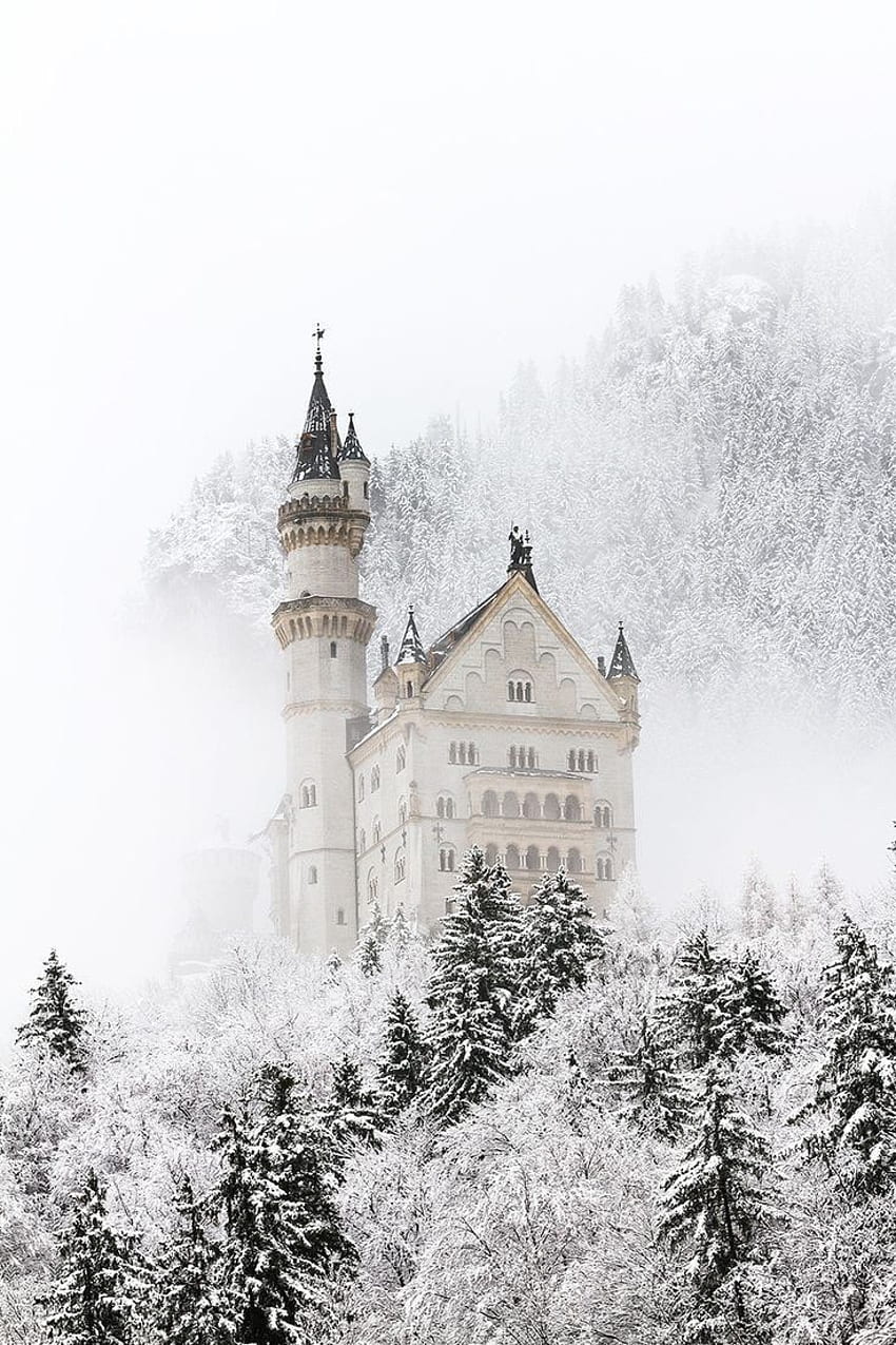 A castle in the snow covered forest - Castle