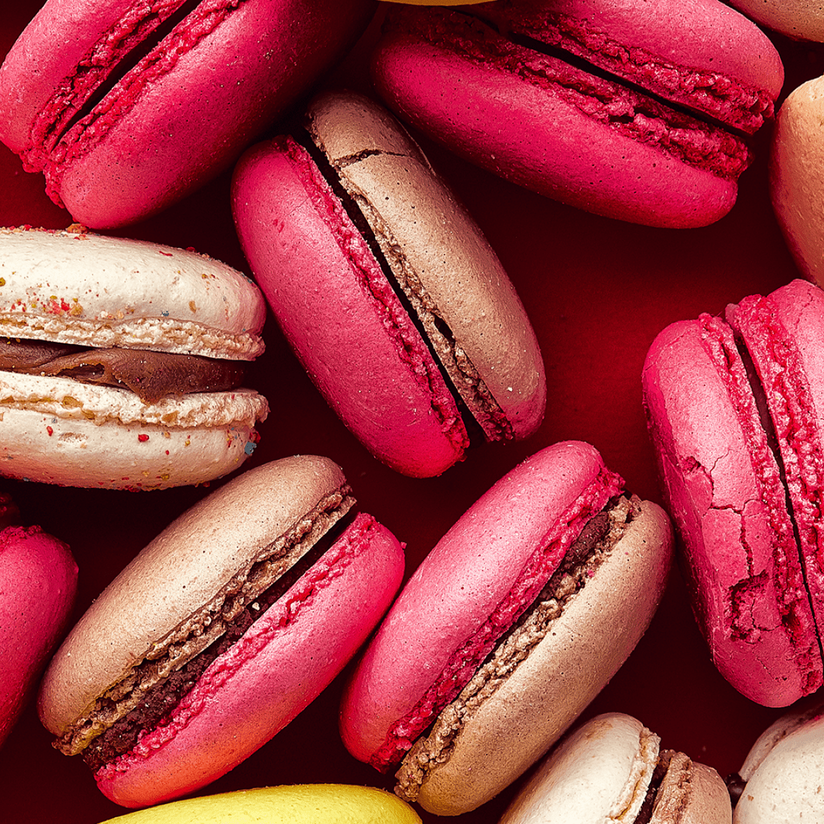 A close up of several macaroons on red - Foodie