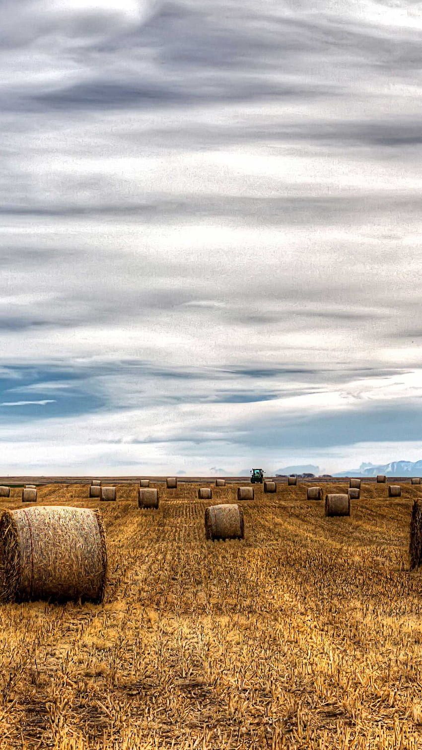 IPhone Mg landscape graphy farm fields. Field, Landscape, Western aesthetic, Farming iPhone HD phone wallpaper
