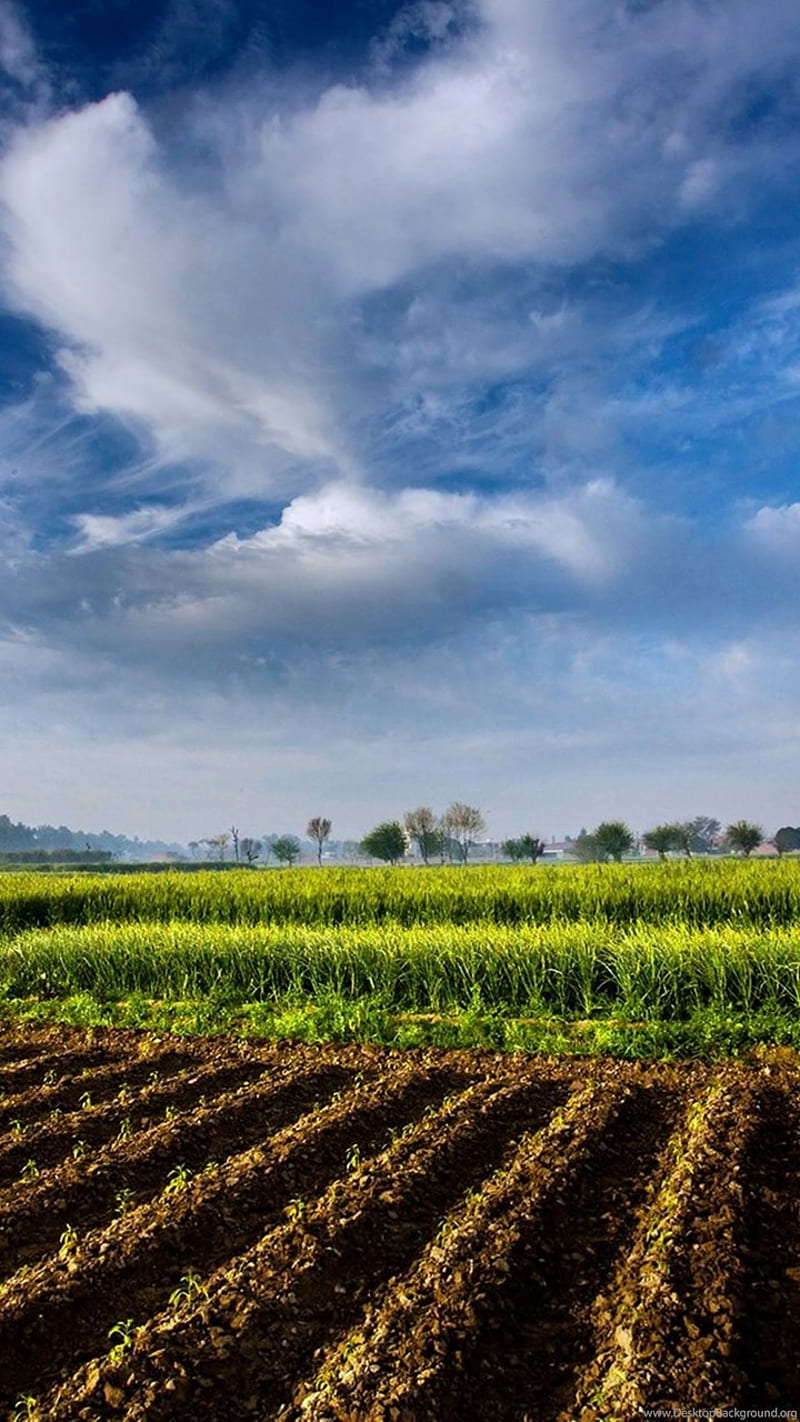 Pakistan Landscape, agriculture, farm, green, land, landscape, nature, pak, pakistan, HD phone wallpaper