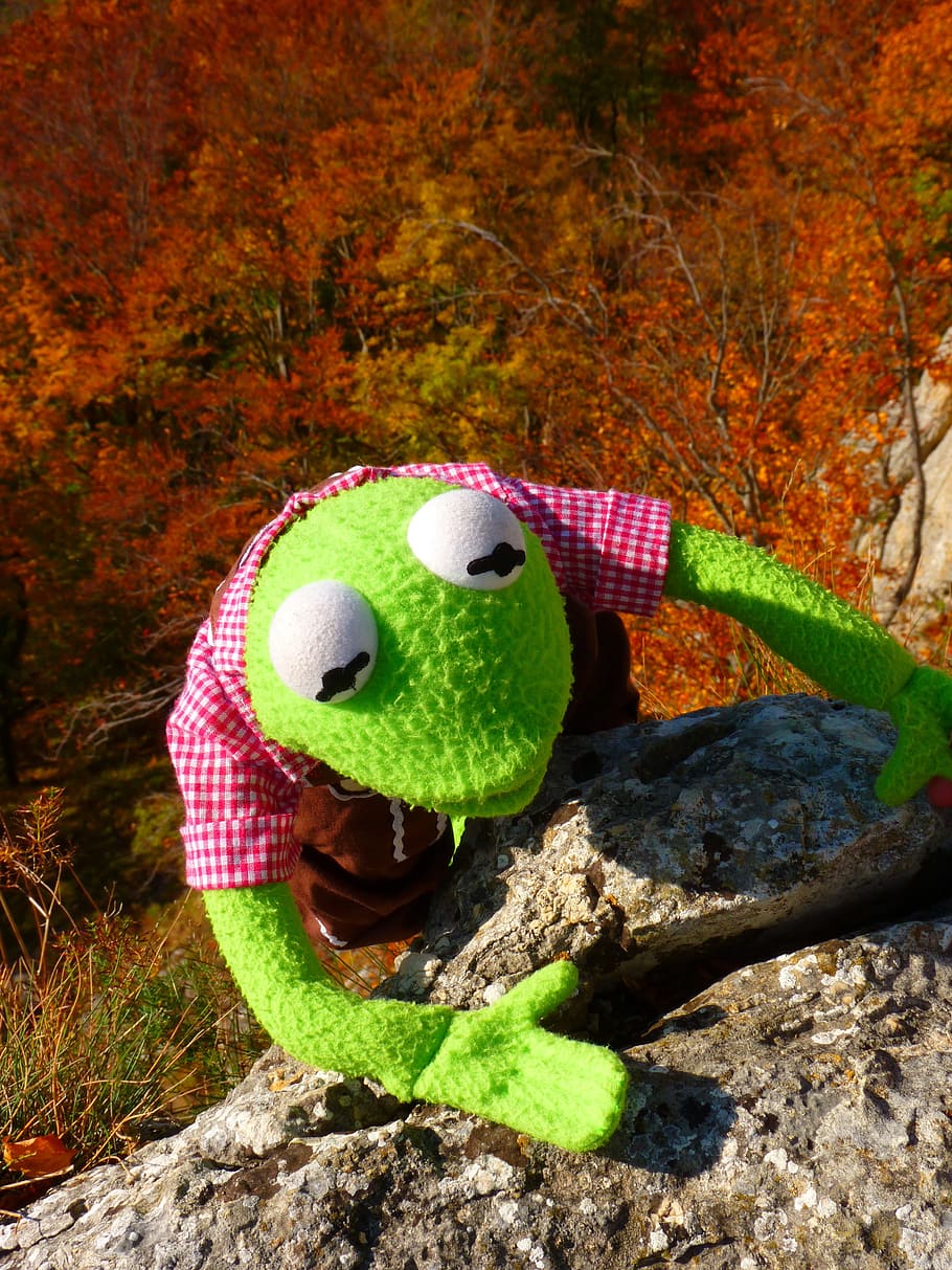 HD Wallpaper: Climb, Rock, Kermit, Frog, Close Up, No People, Day, Sport