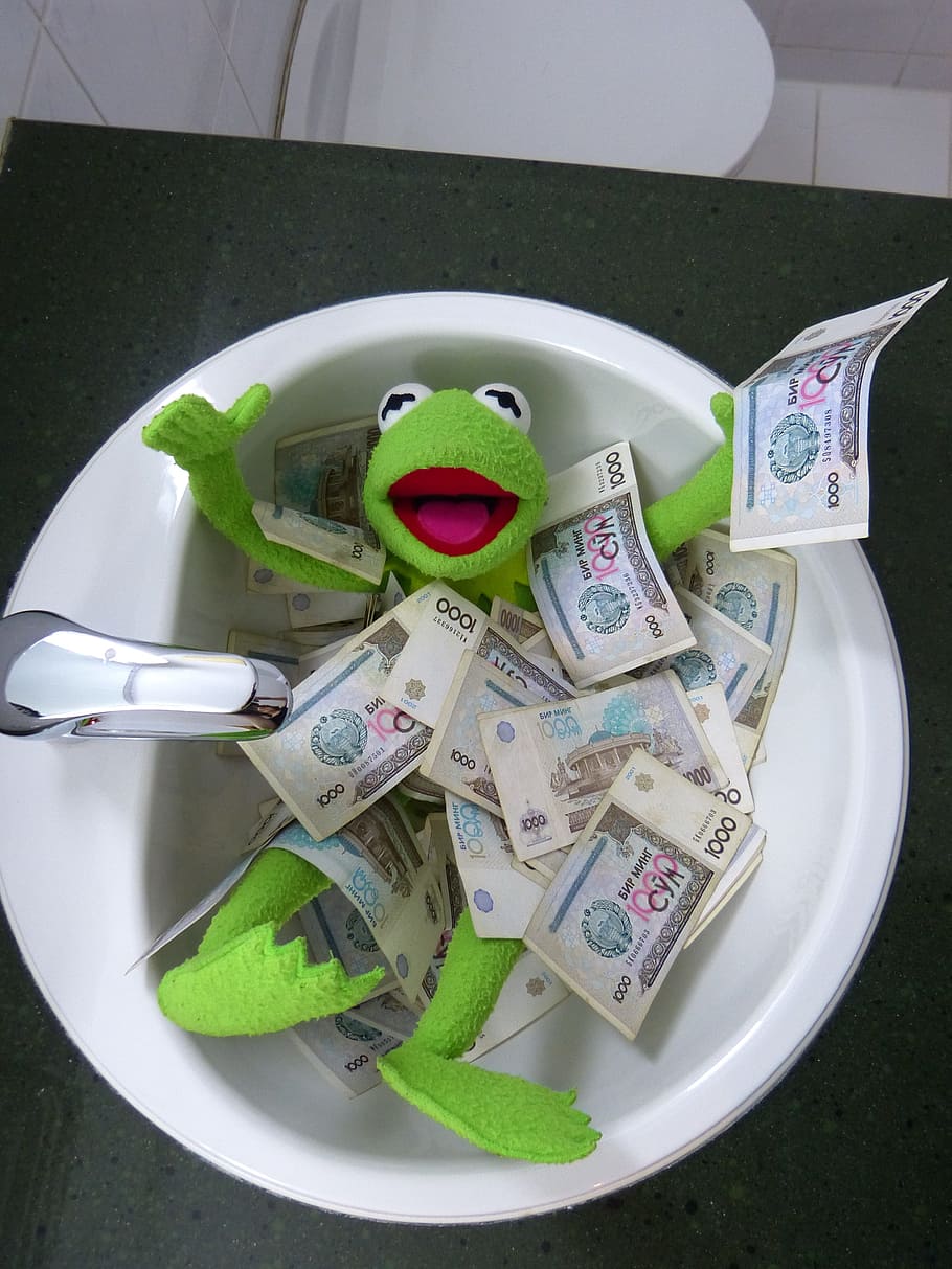 HD wallpaper: Kermit the Frog on sink covered with 1000 banknotes, money, swim