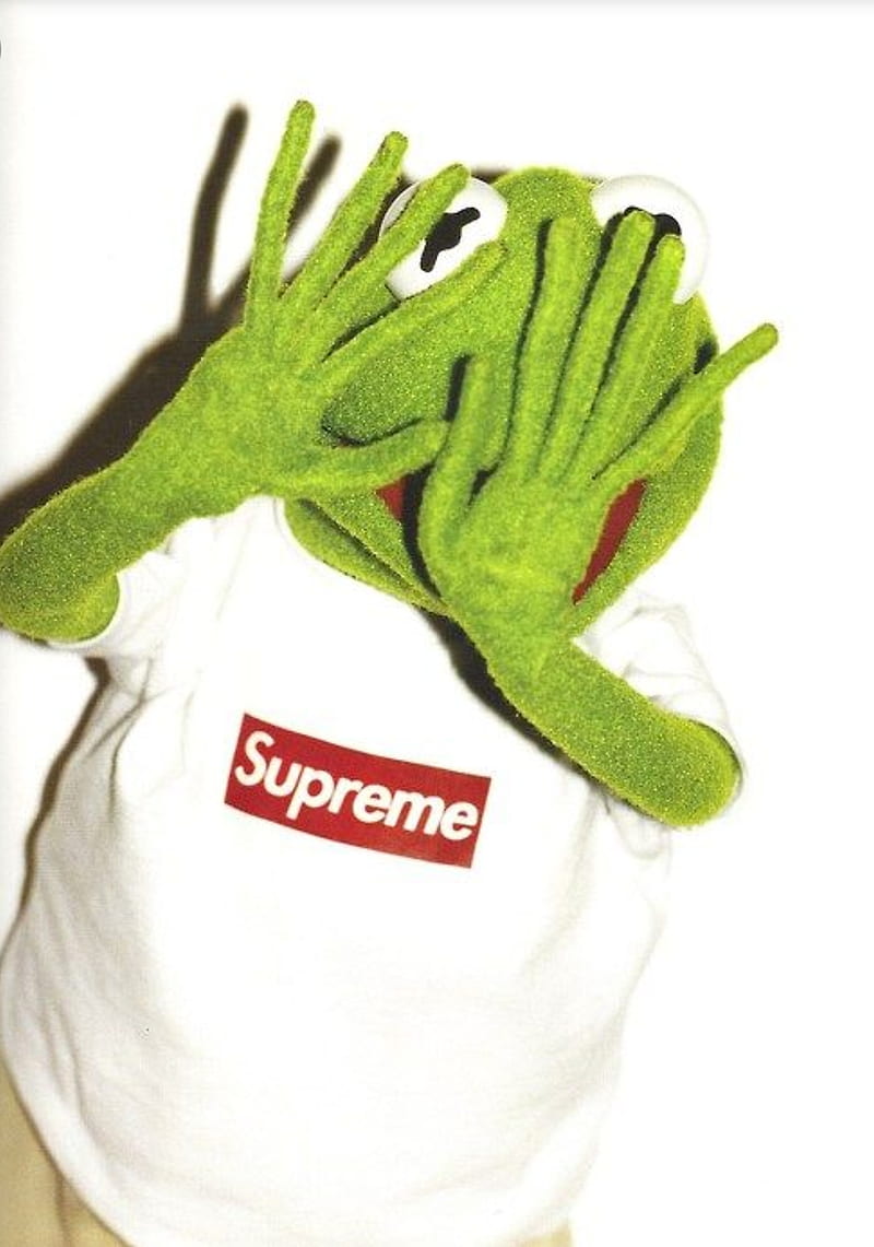 Kermit the Frog wearing a Supreme t-shirt - Kermit the Frog