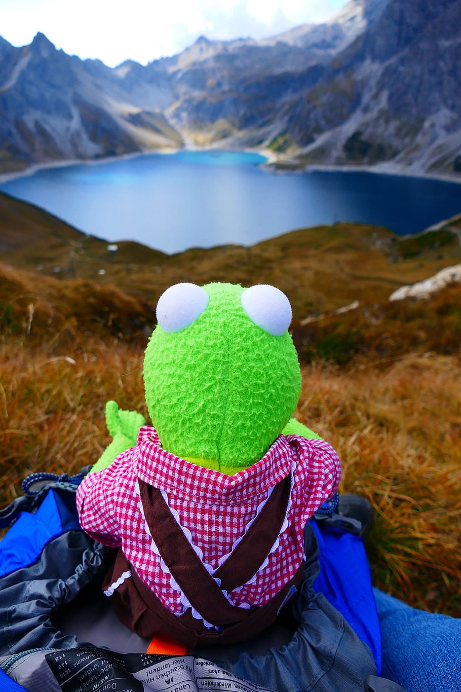 A stuffed Kermit frog sitting on a backpack - Kermit the Frog