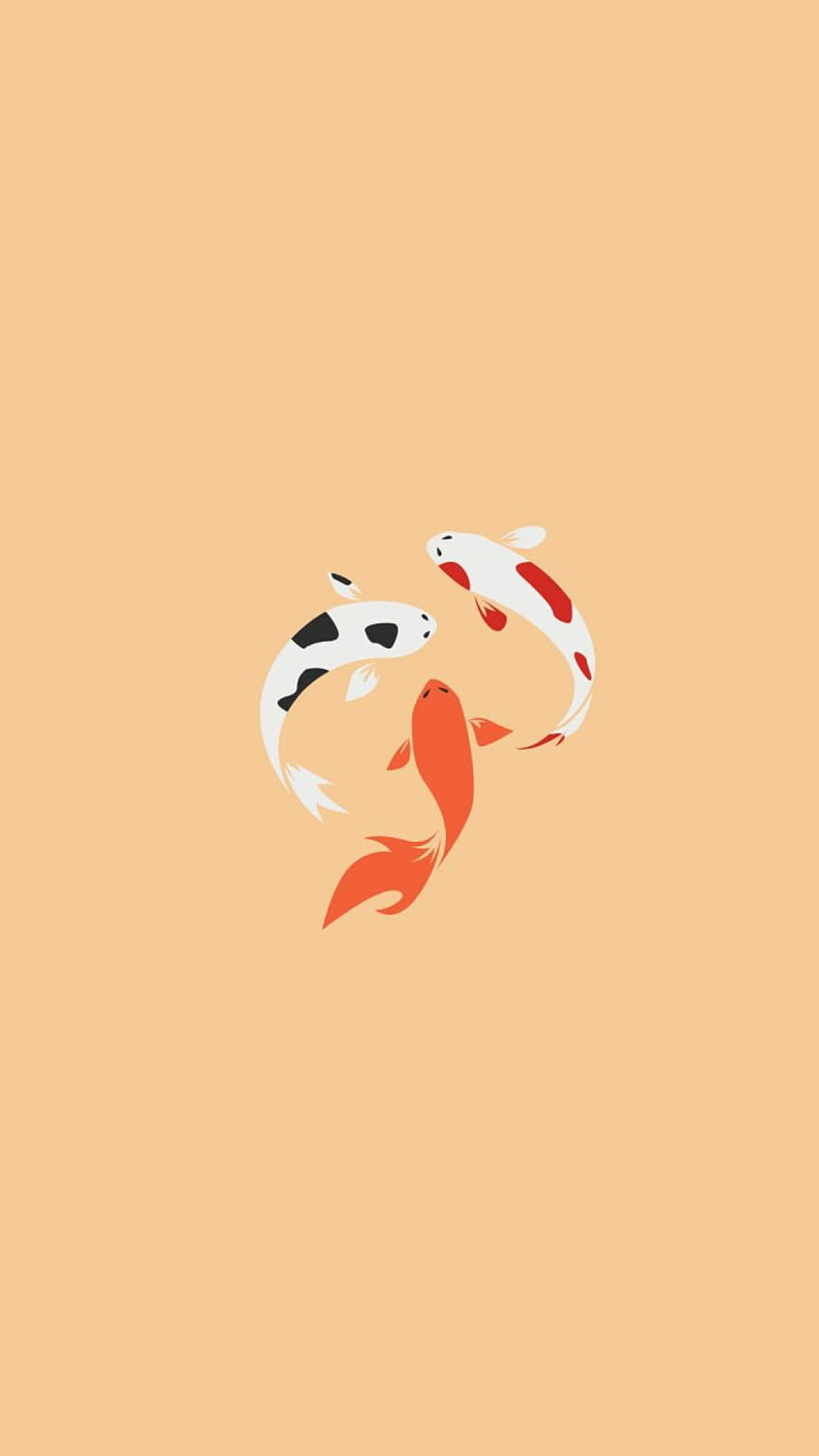 A koi fish swims in the water - Koi fish, fish