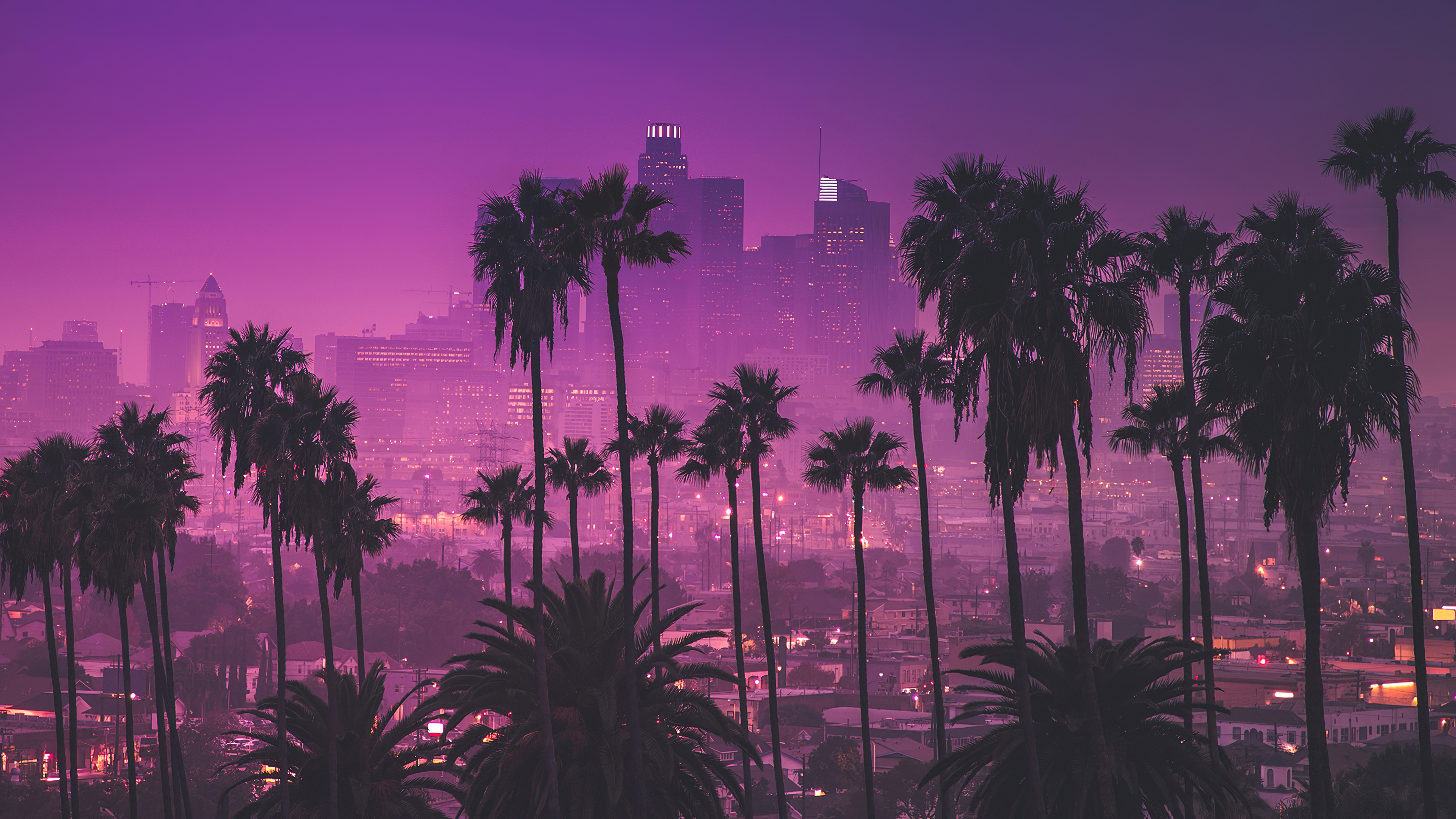 Palm trees against purple nightlights Angeles, California