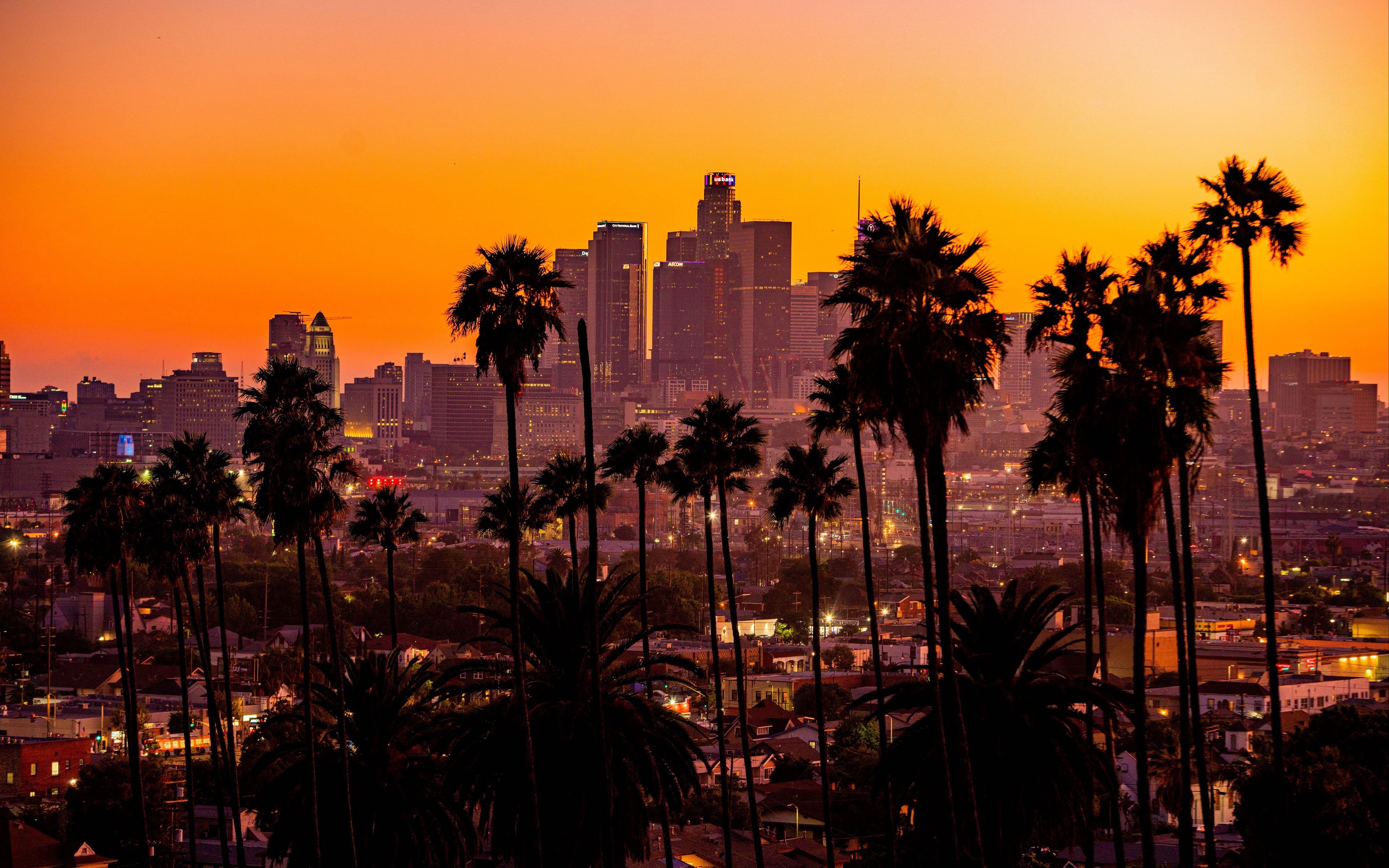 The Los Angeles skyline with palm trees in the foreground. - Los Angeles, California