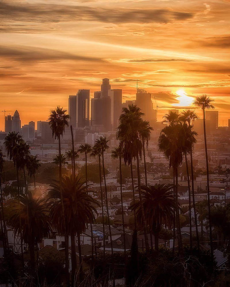 Sunset Los Angeles, city, los angeles, HD phone wallpaper
