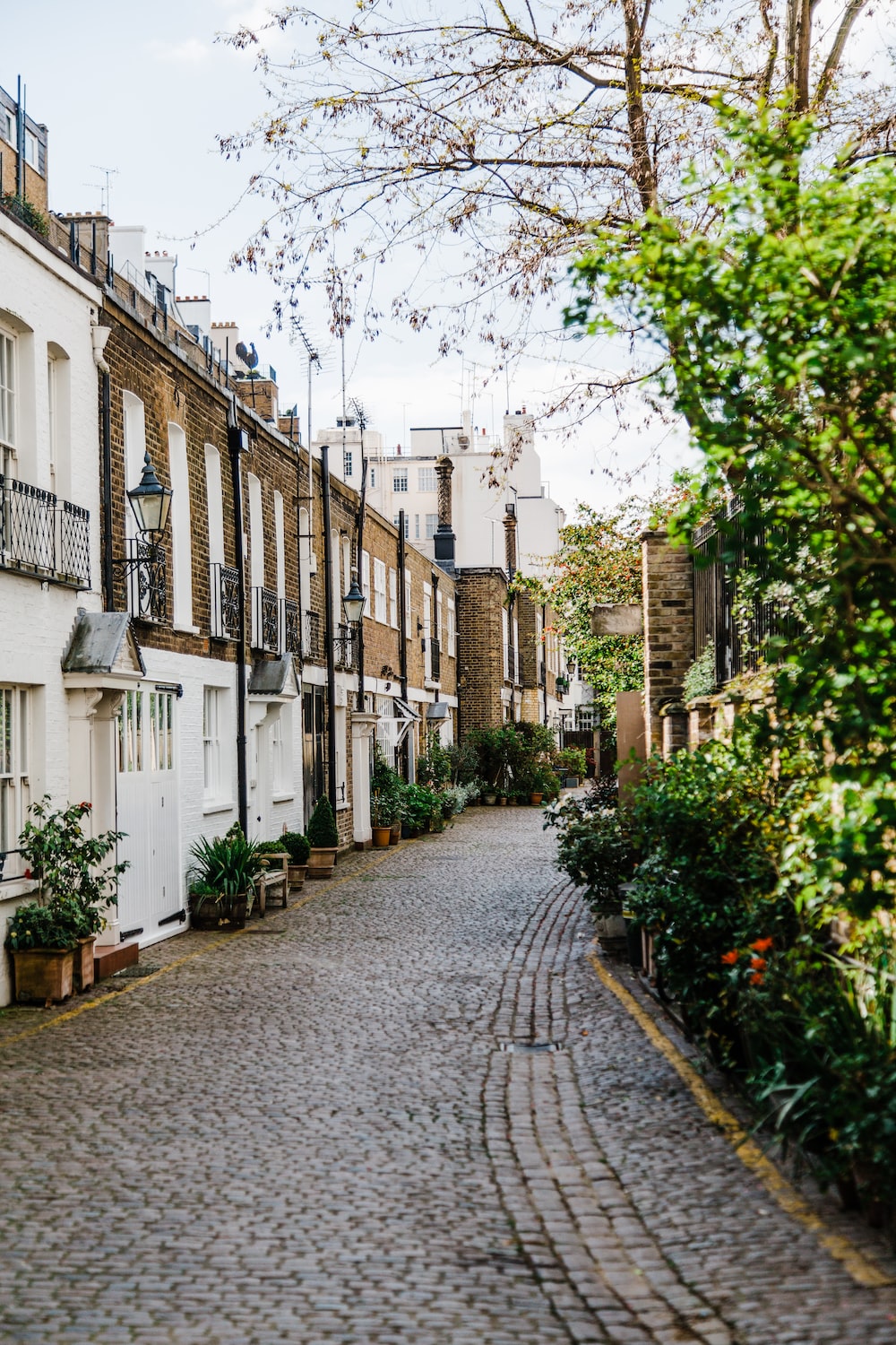 A brick street with trees and buildings - London