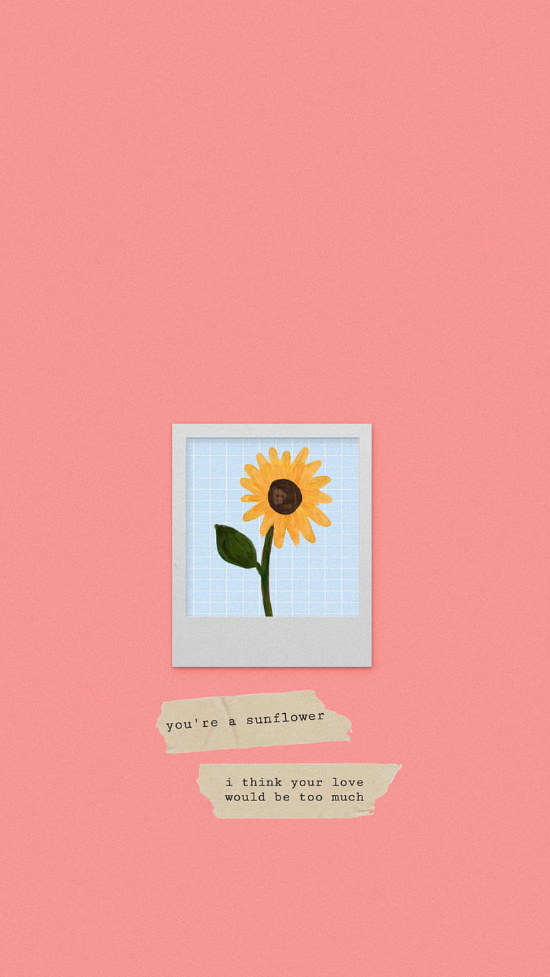 A picture of an image with the words, 'a sunflower in my mind' - Avengers, Polaroid, Marvel