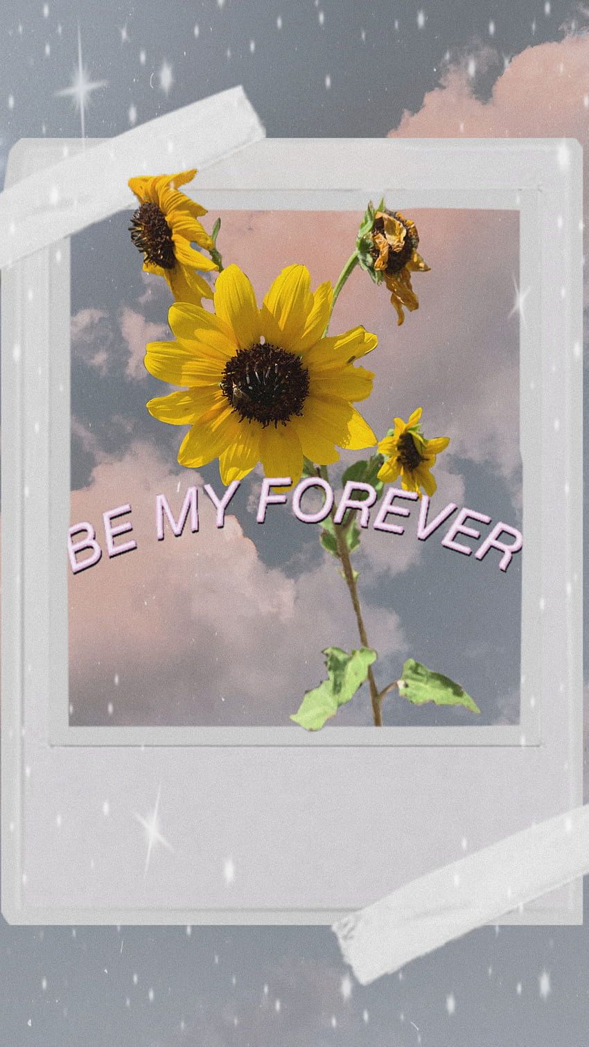 Bemyforever polaroid by no thankd, clouds sunflower aesthetic HD phone wallpaper