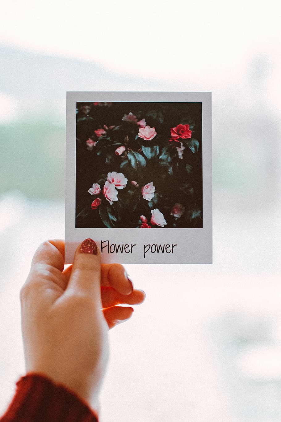 A hand holding a polaroid picture of flowers with the words flower power written underneath - Polaroid