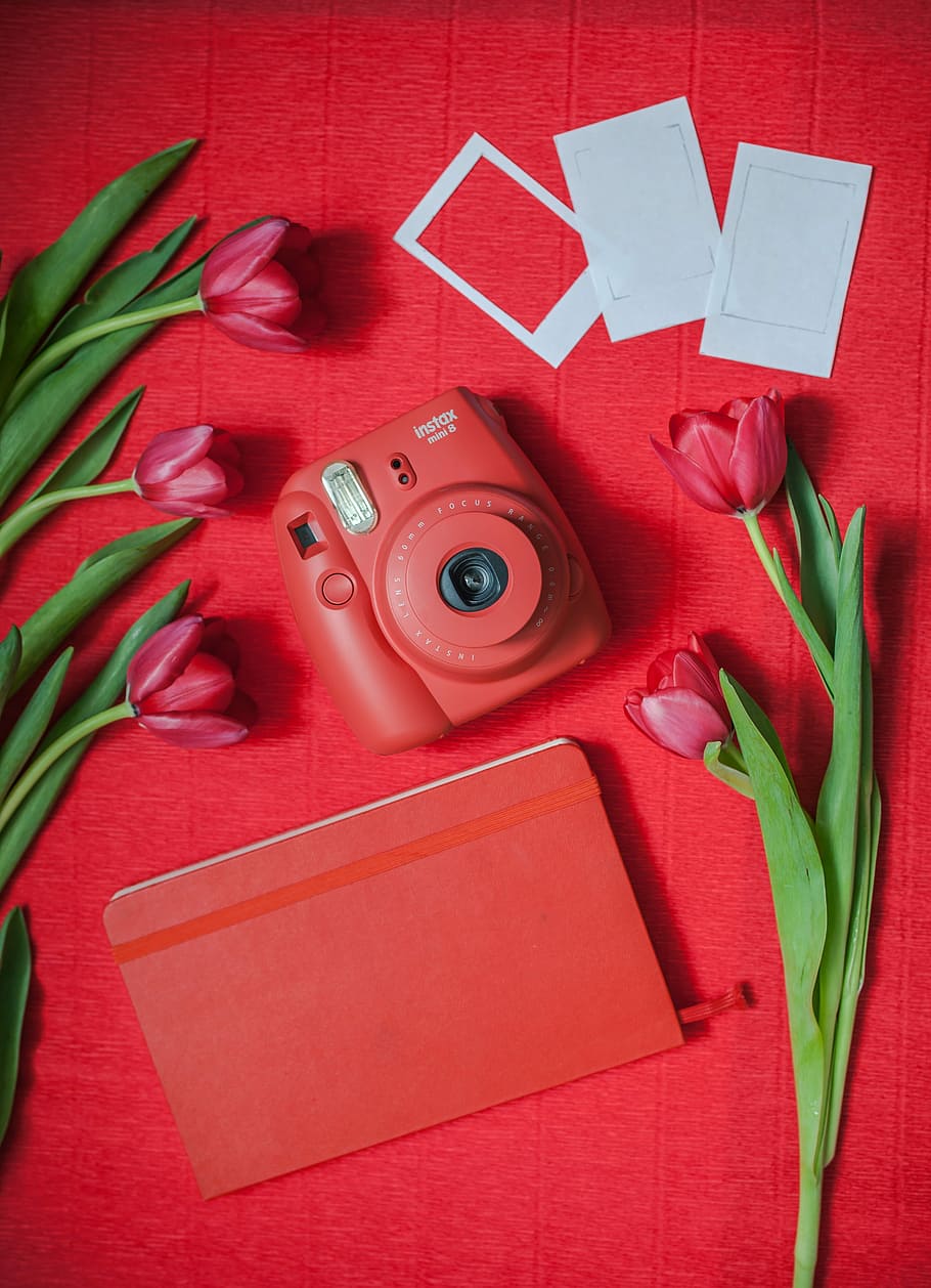 A red camera sits next to some tulips - Polaroid