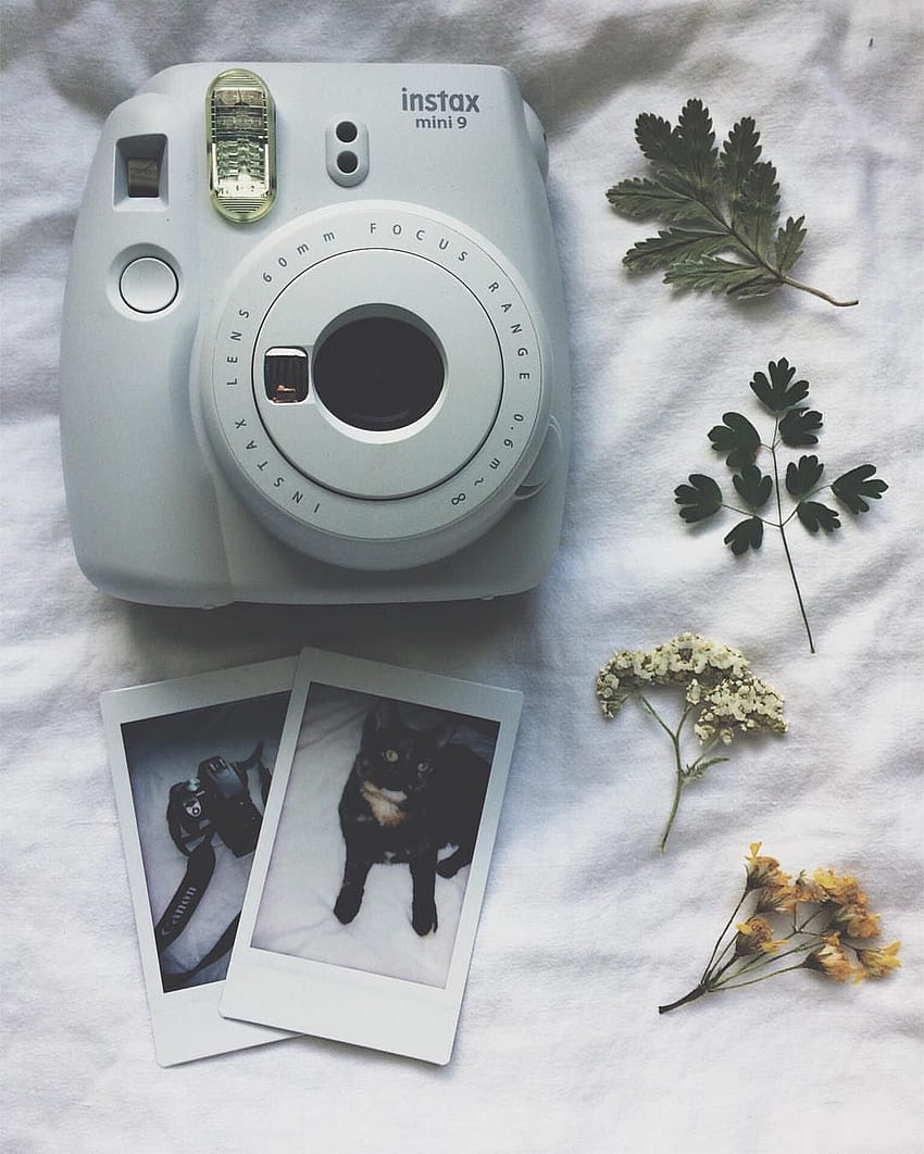 A polaroid camera with some flowers and pictures - Polaroid