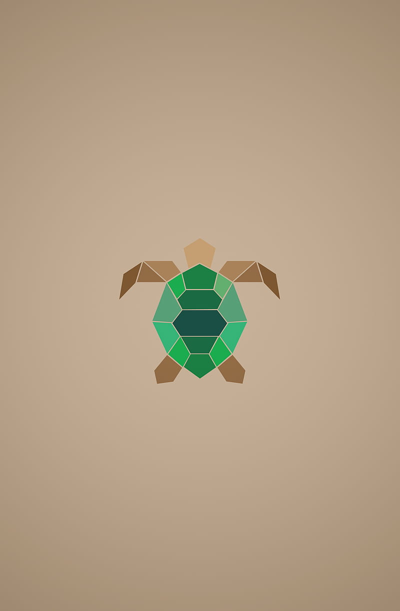A geometric turtle illustration - Turtle