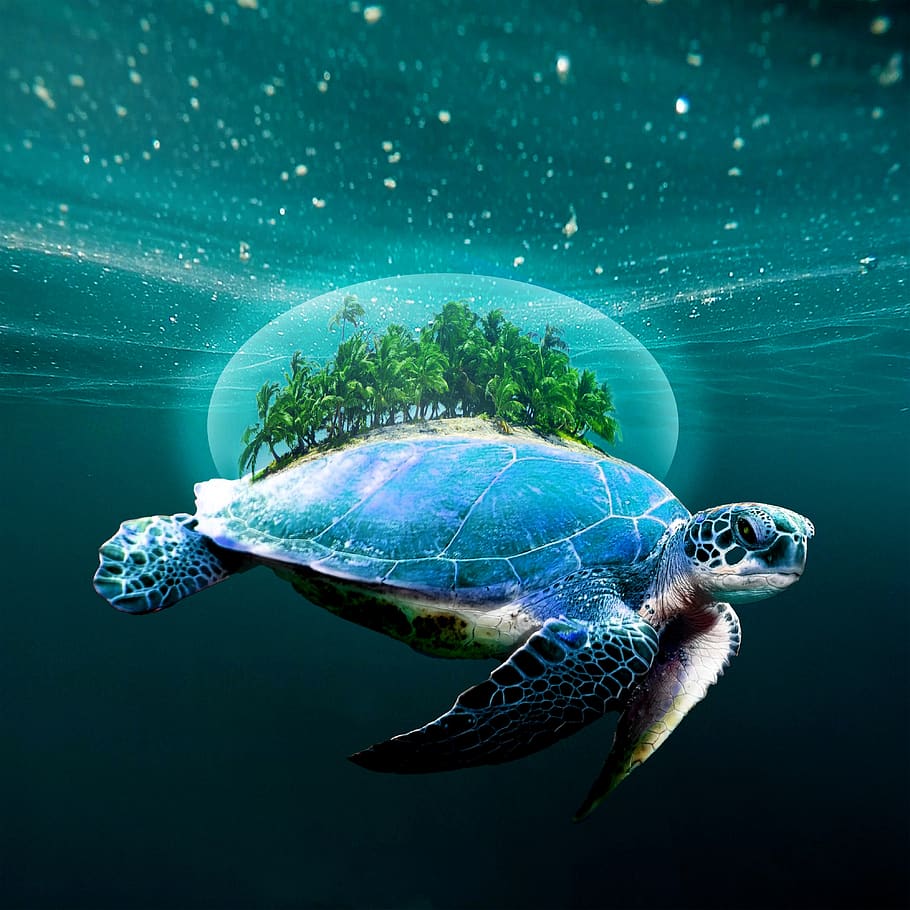 A turtle swimming in the ocean with an island on top of it - Turtle