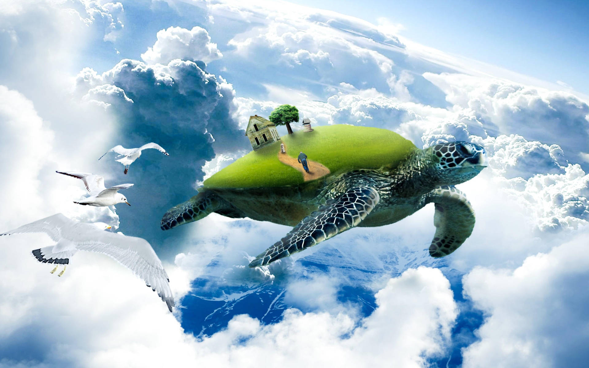 Turtle in the sky with a house on its back - Turtle