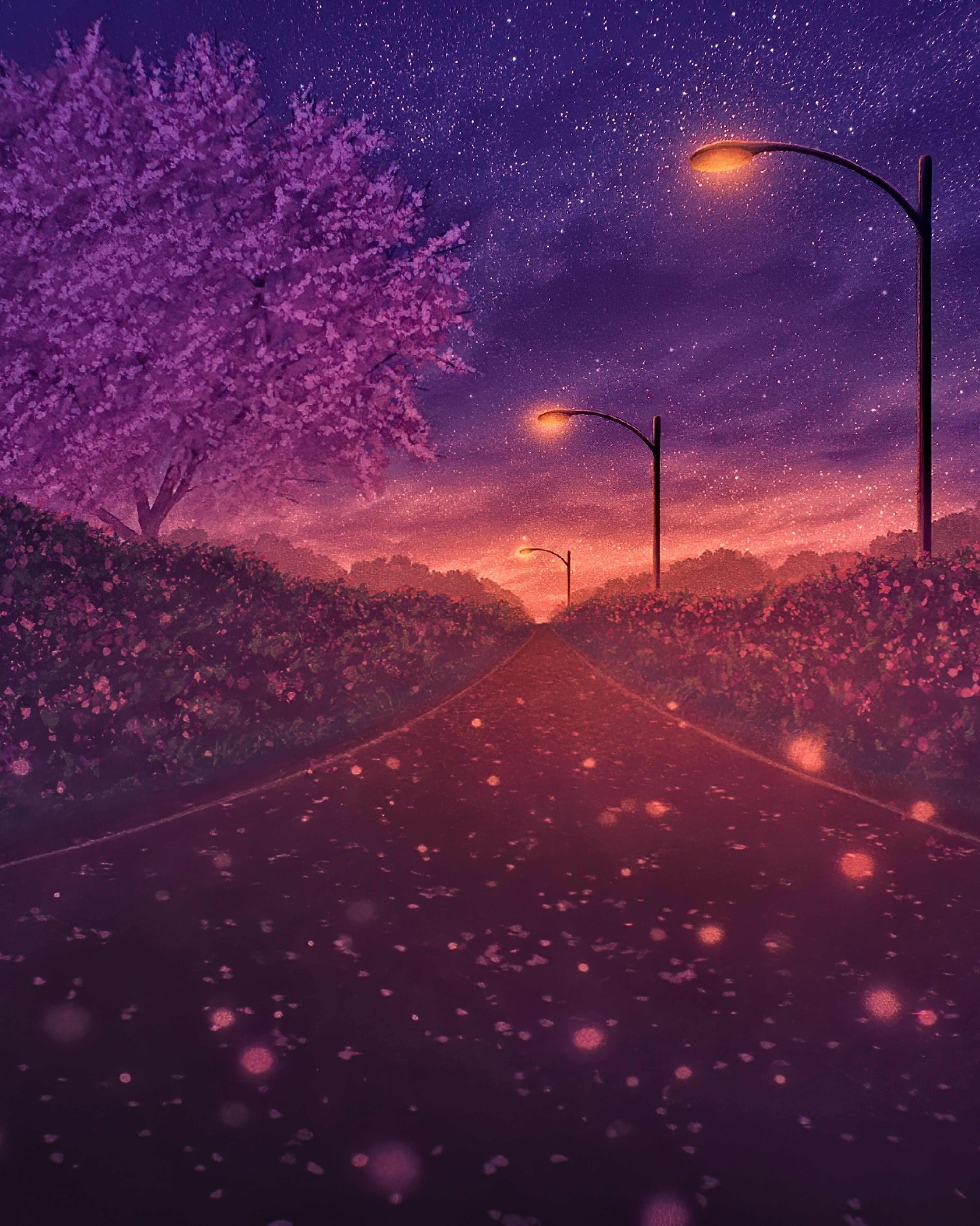 Blossom Artistic Path 4000x5000 Resolution Wallpaper, HD Artist 4K Wallpaper, Image, Photo and Background