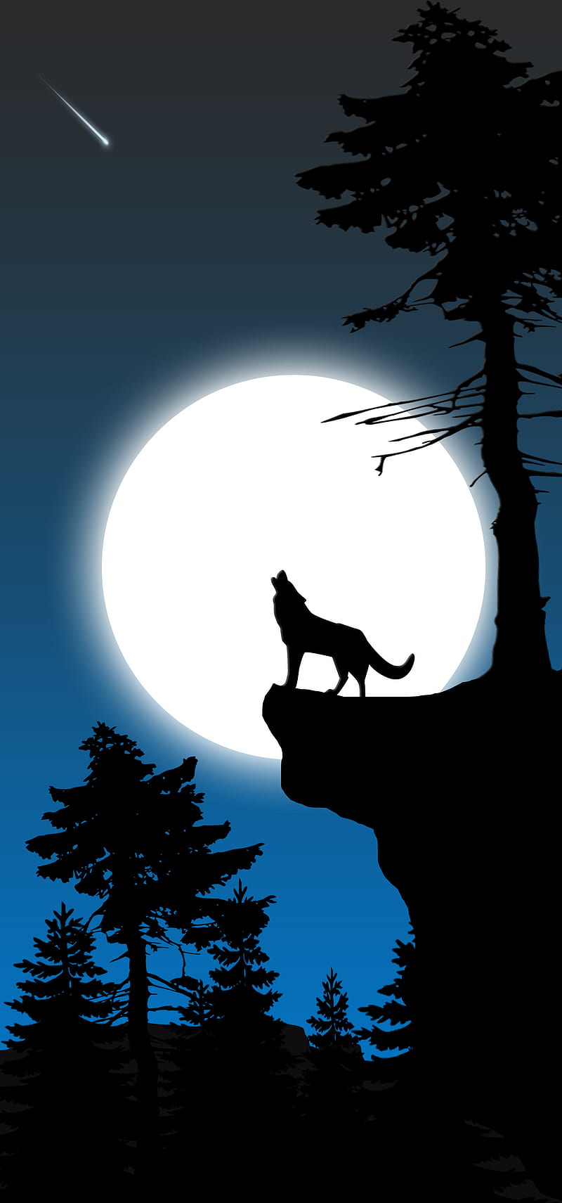 Howling at the moon - Wolf