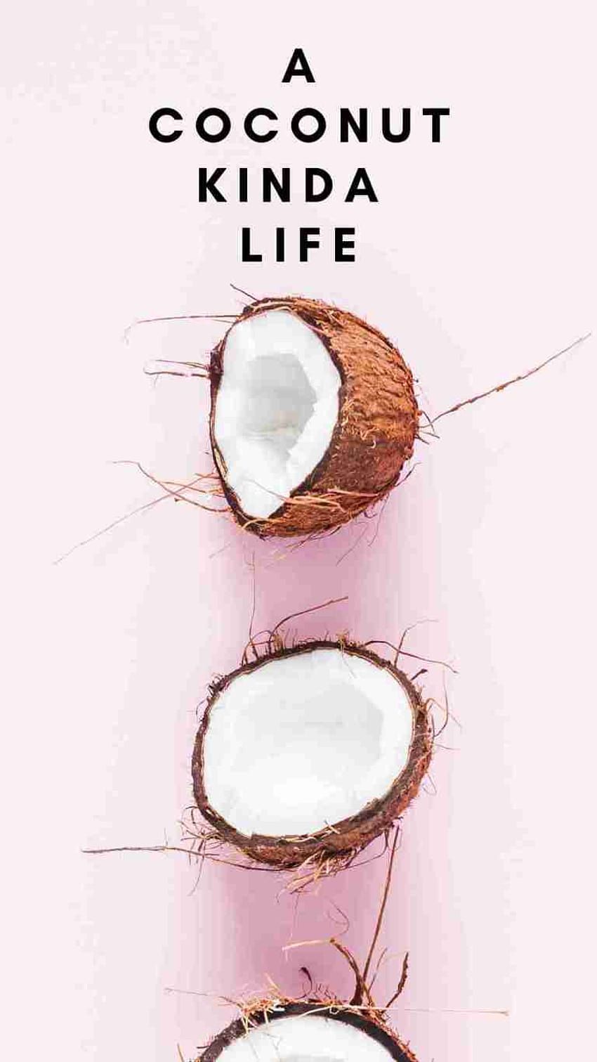 Aesthetic For iPhone, coconut summer iphone HD phone wallpaper