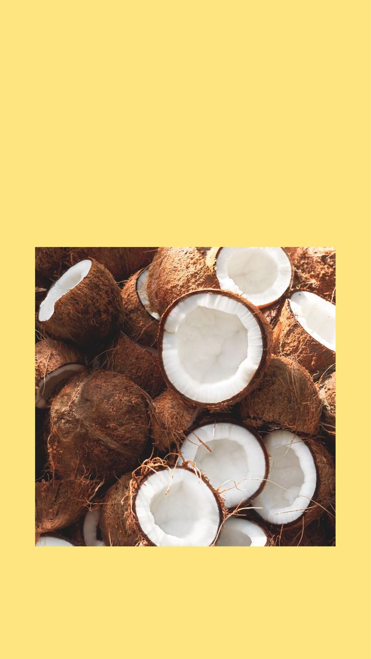 A pile of coconuts on a yellow background - Coconut