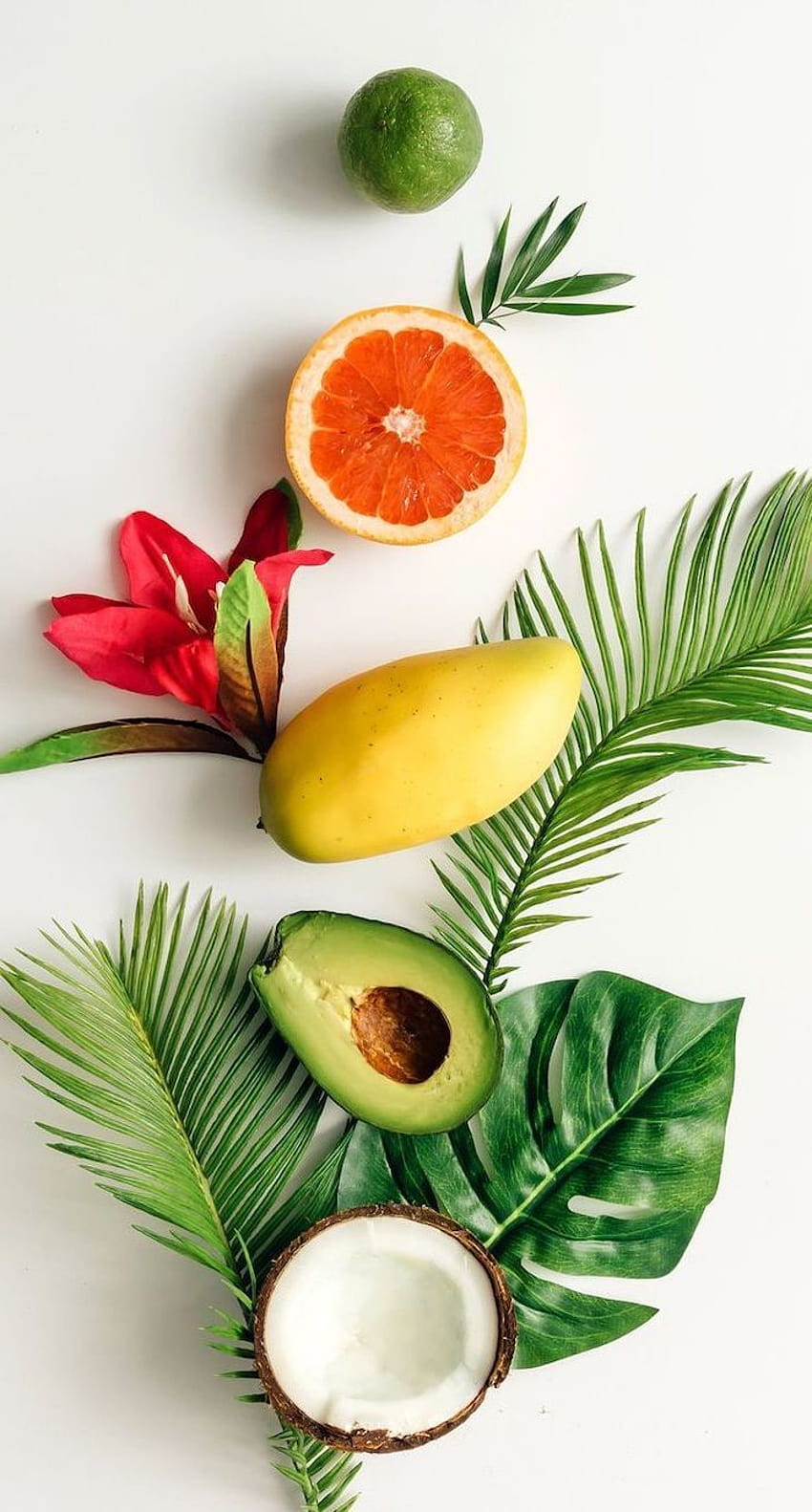 Tropical fruits like mango, orange, coconut, avocado, surrounded by palm leaves - Coconut