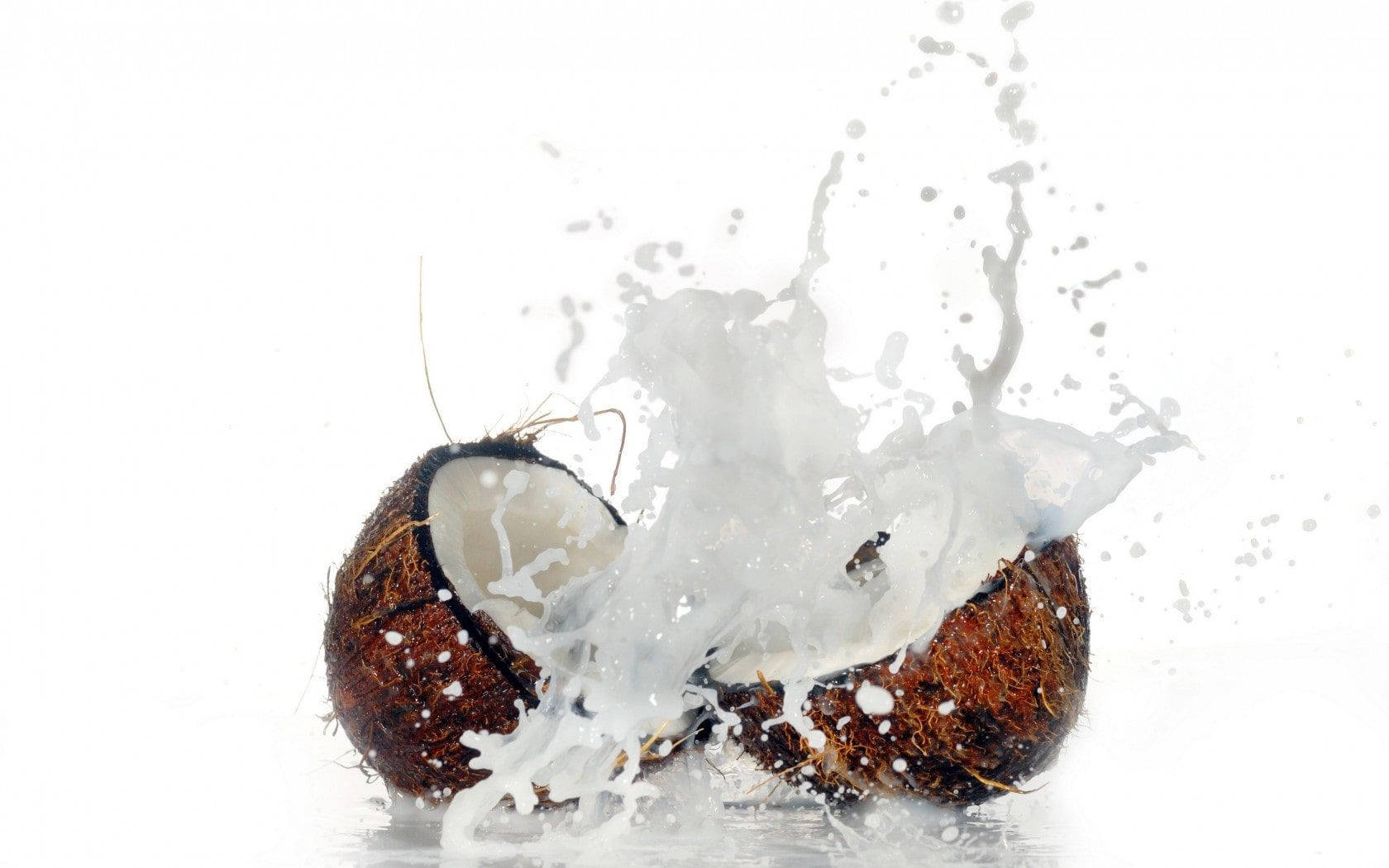 Free Coconut Background Photo, Coconut Background for FREE